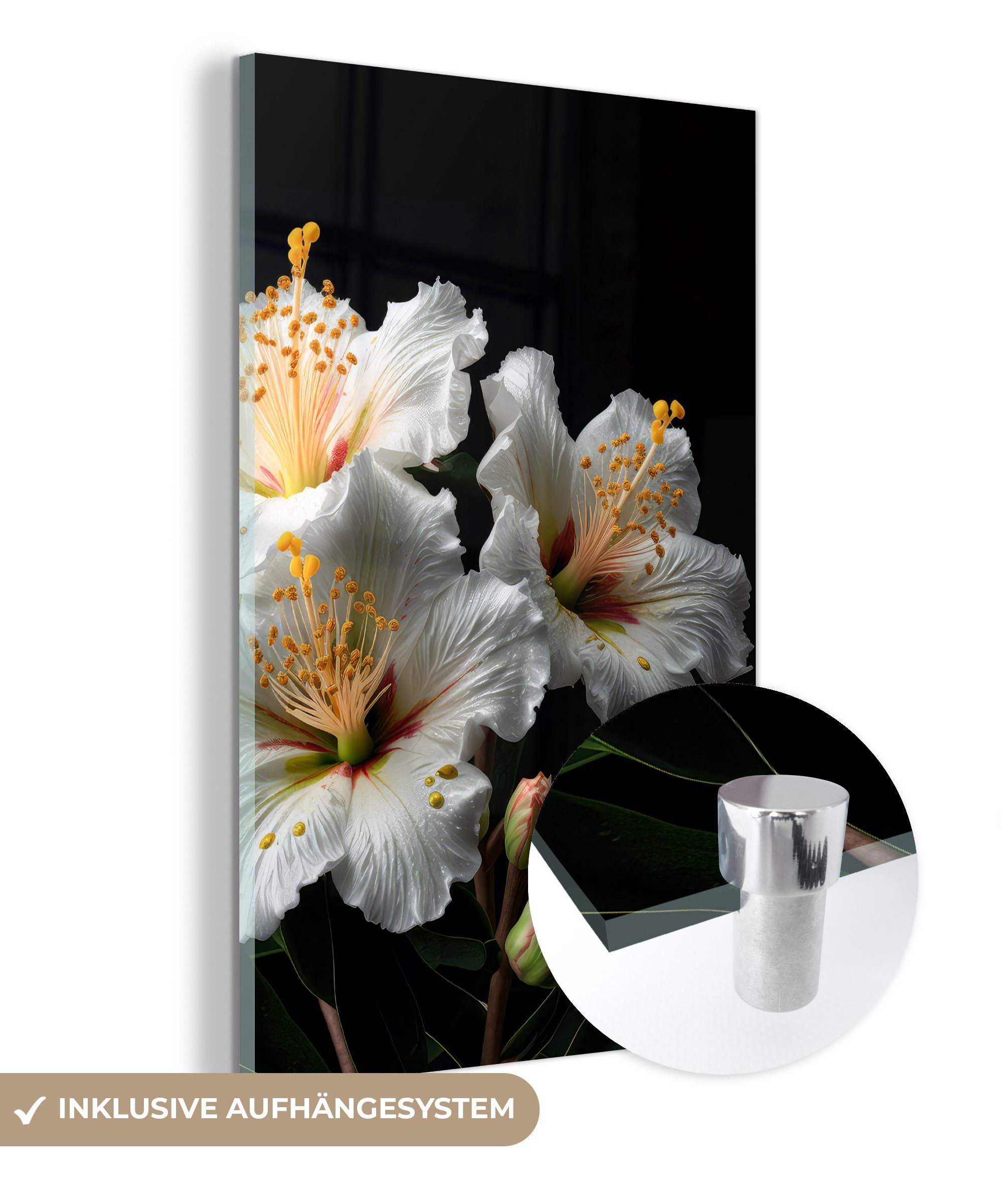 MuchoWow Acrylglasbild Blumen - Weiß - Hibiskus - Natur - Schwarz, (1 St), Glasbilder - Bilder auf Glas Wandbild - Foto auf Glas - Wanddekoration | Bilder