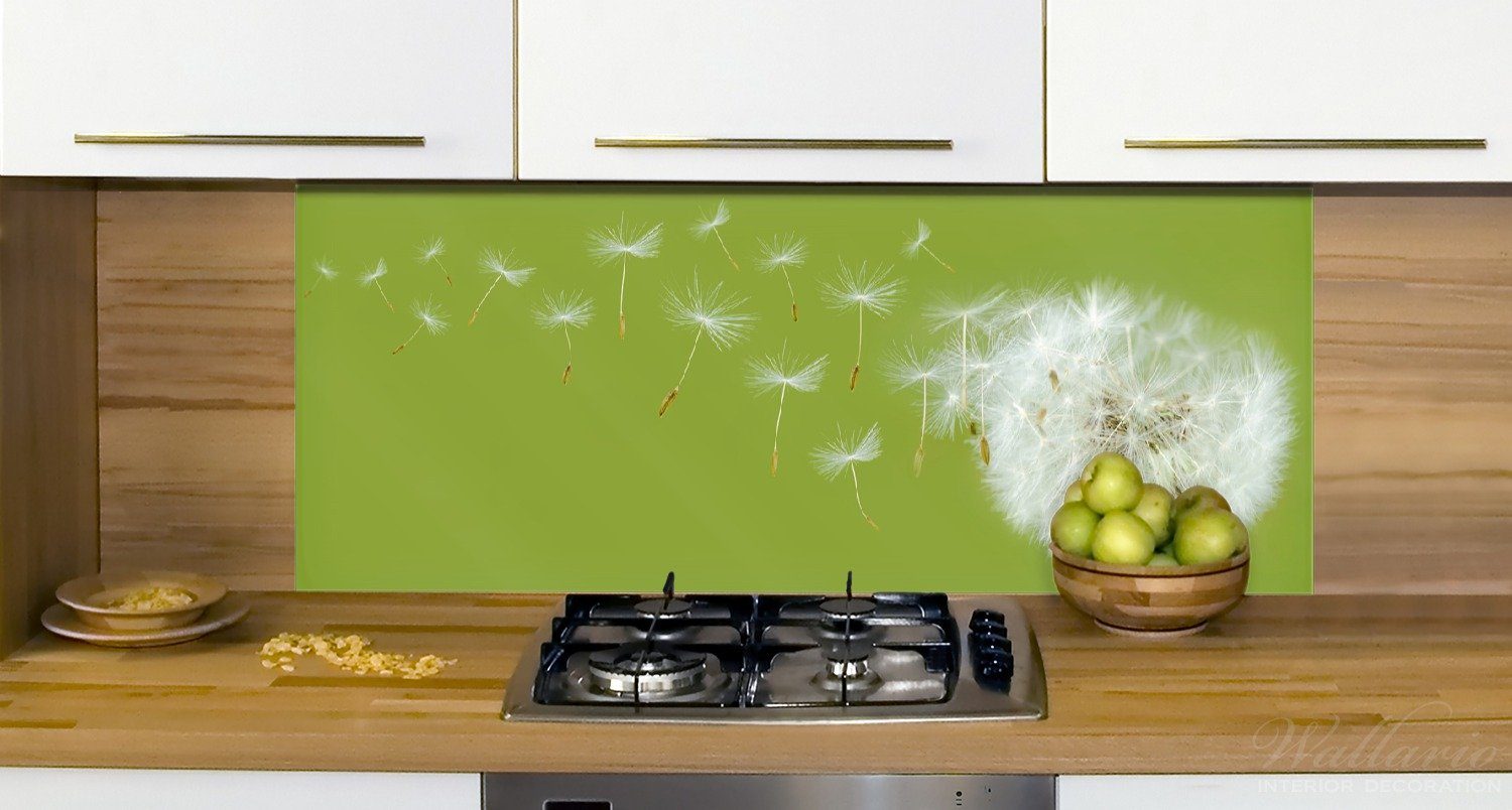 Pusteblume Wallario fliegenden auf Samen, Küchenrückwand der mit Wiese (1-tlg)