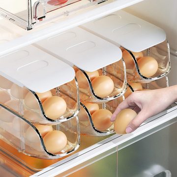 GLIESE Korbeinsatz Kühlschrank Eierbox 12 Eier