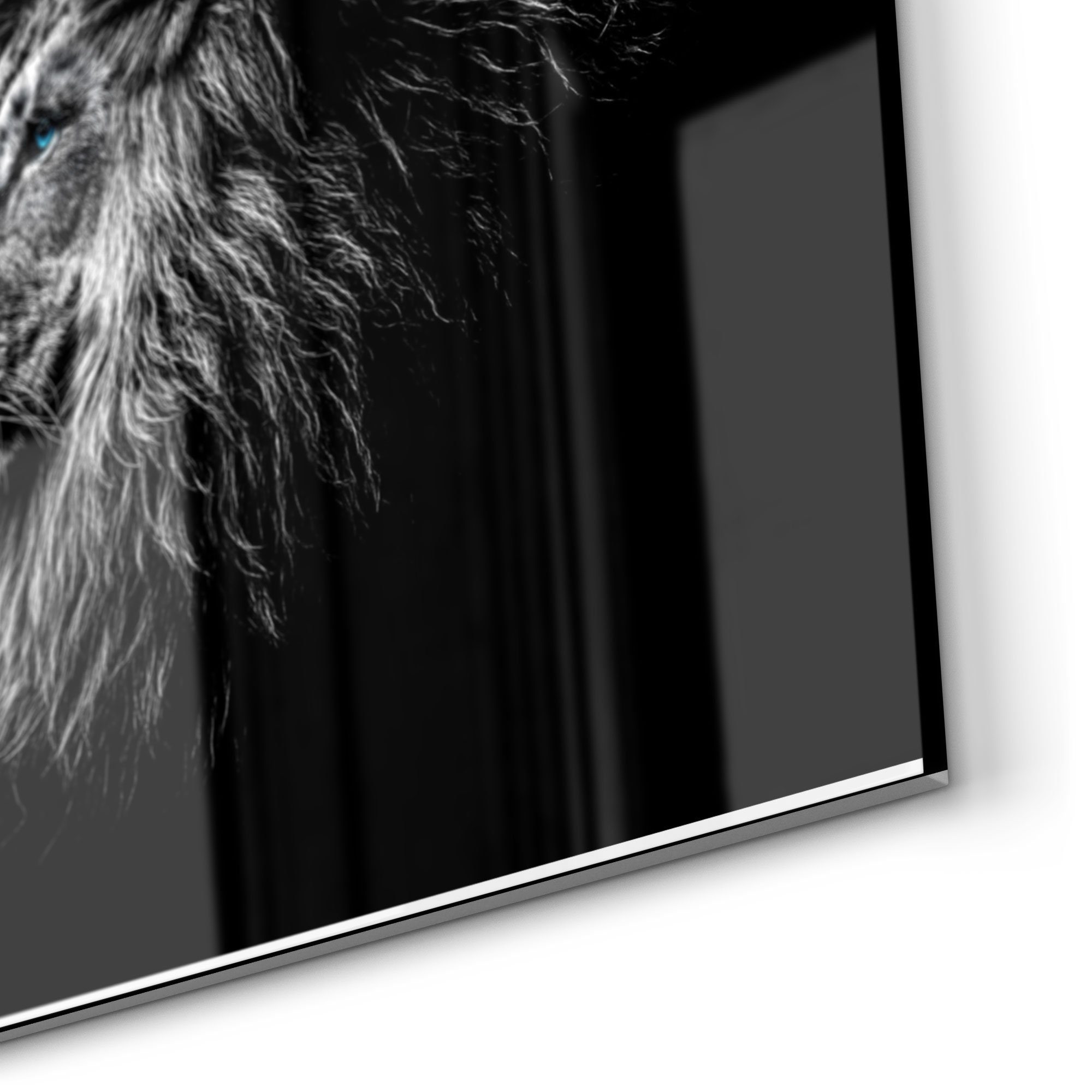 Tiere Badrückwand im DEQORI Glas 'König Herdblende Spritzschutz Küchenrückwand der Profil',