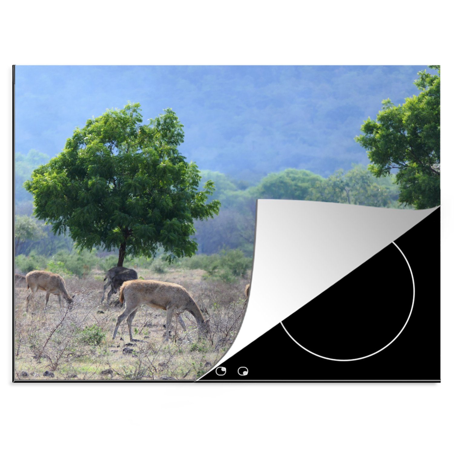 MuchoWow Herdblende-/Abdeckplatte Wilde Tiere in der Landschaft des Baluran-Nationalparks, Vinyl, (1 tlg), 70x52 cm, Mobile Arbeitsfläche nutzbar, Ceranfeldabdeckung | Herdabdeckplatten