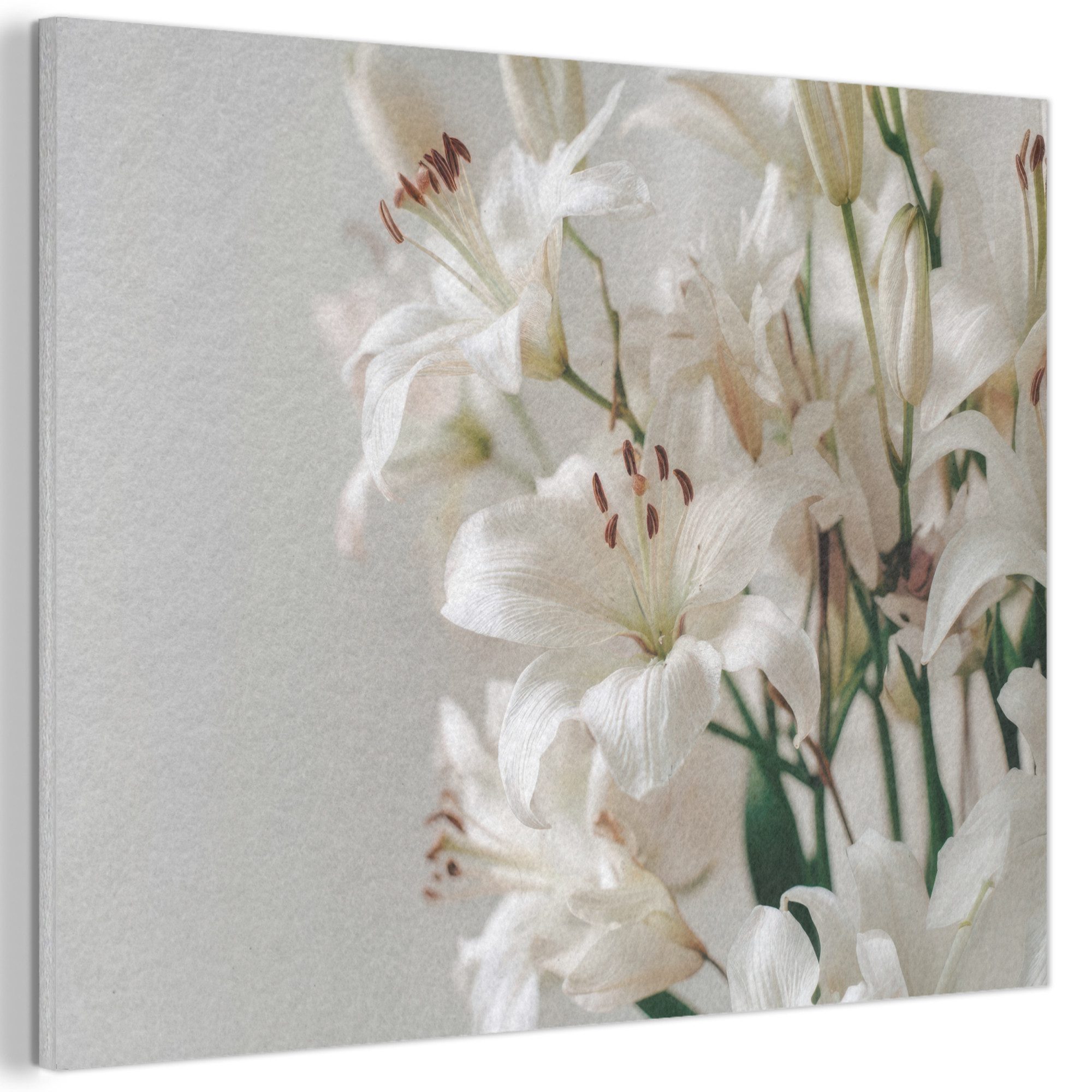 MuchoWow Gemälde Lilien - Boekte - Weiß - Staubgefäße, Fotodruck (1 St), Akustikpaneele PET-Filz, Akustikbild, Schalldämmung, Deko 40x30 cm