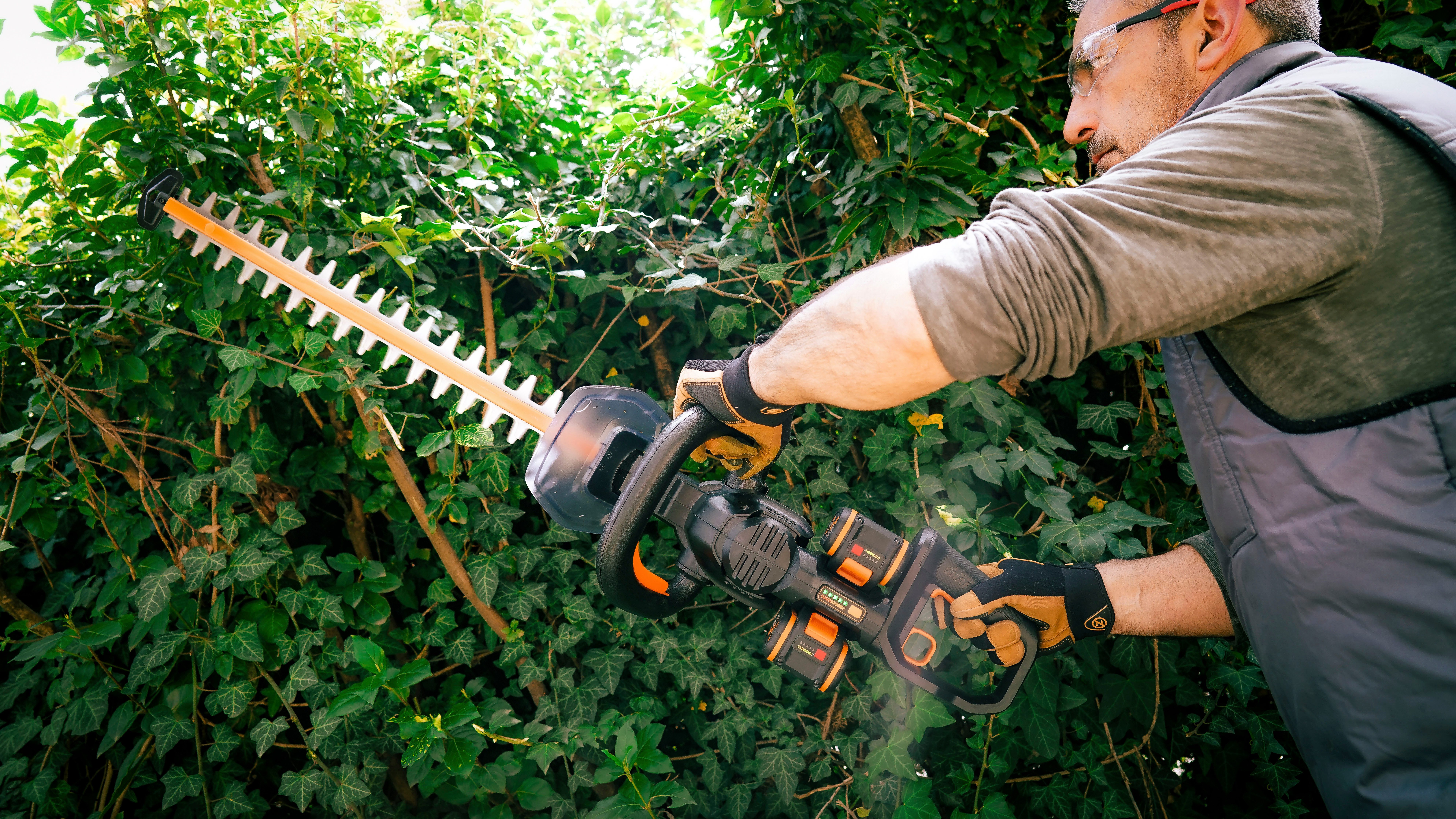 Worx Akku-Heckenschere WG286E.9 Nitro Profi, 58 günstig online kaufen