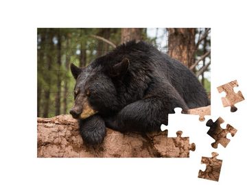 puzzleYOU Puzzle Fauler Bär auf einem Baumstamm, 48 Puzzleteile, puzzleYOU-Kollektionen Bären, Tiere in Wald & Gebirge