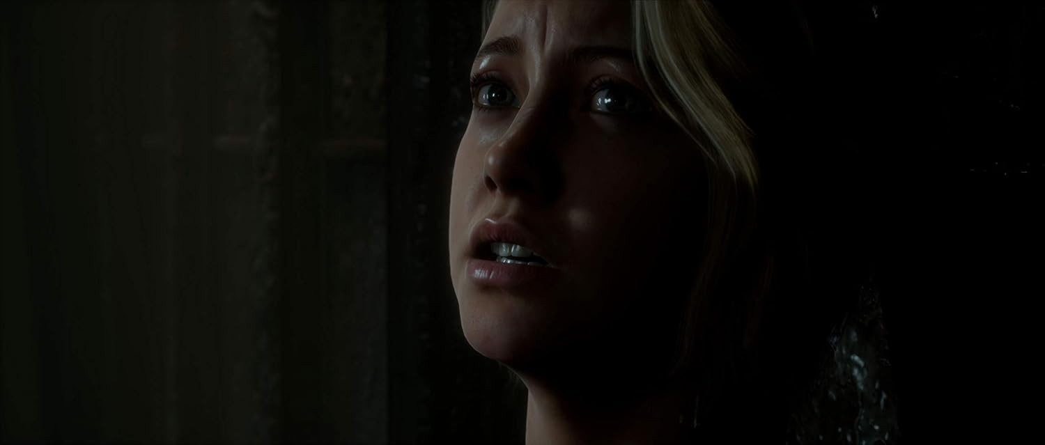 The Dark Pictures - Man of Medan [PlayStation 4, DE USK]