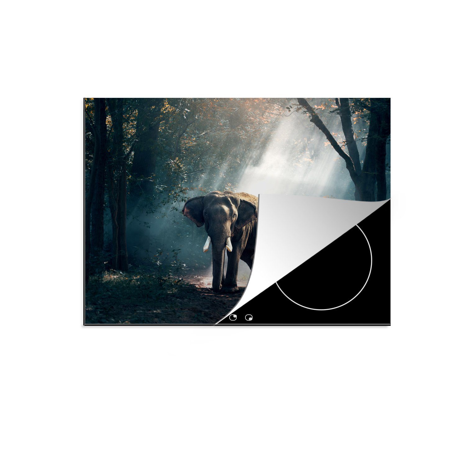 - Induktionsschutz, - cm, Natur Herdblende-/Abdeckplatte MuchoWow Wald Induktionskochfeld, 57x51 Elefant Wildtiere, tlg), - Tiere (1 Licht Ceranfeldabdeckung Vinyl, - -