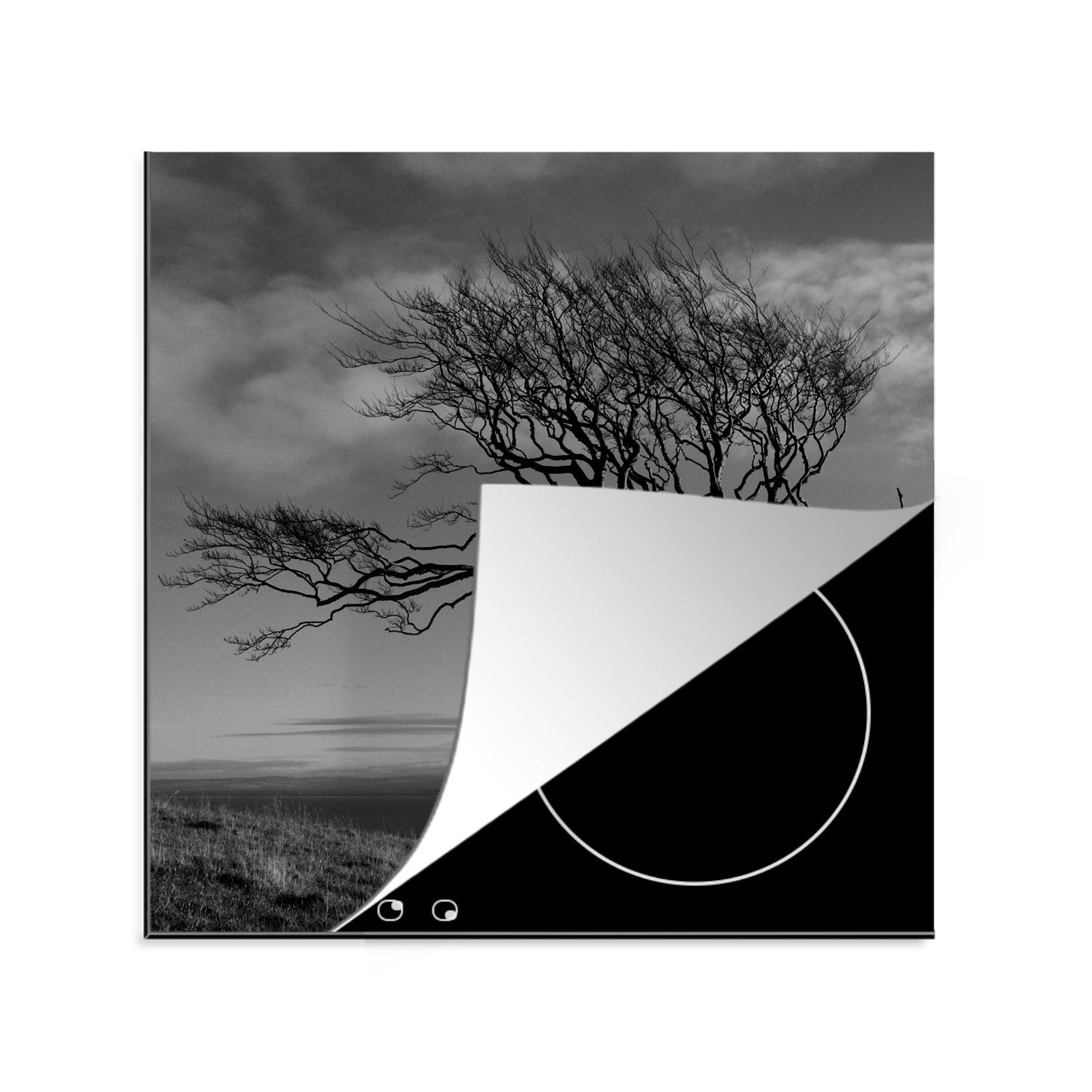 MuchoWow Herdblende-/Abdeckplatte Winterfoto Buche schwarz und weiß, Vinyl, (1 tlg), 78x78 cm, Ceranfeldabdeckung, Arbeitsplatte für küche