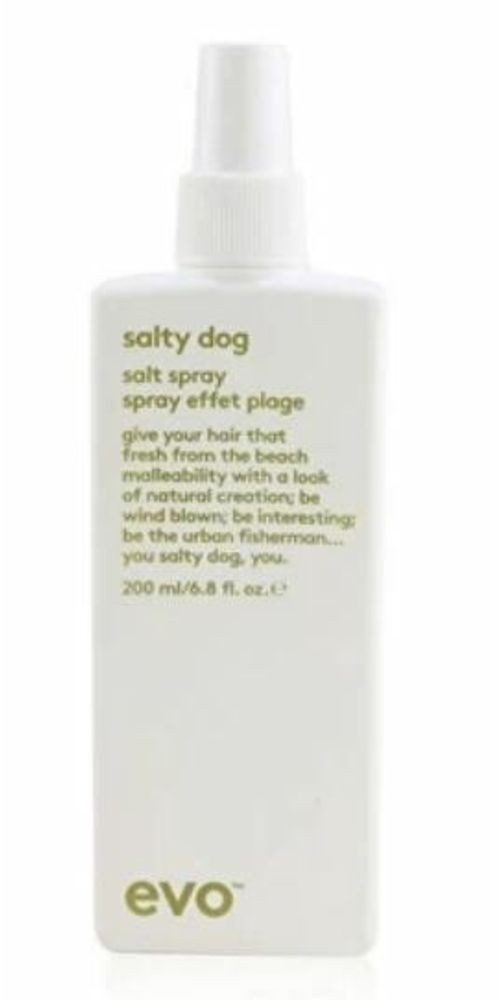 EVO Haarspray Evo Salty Dog Salt Spray 200ml