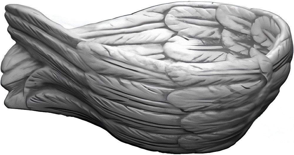 Xlmoebel Servierschale Engelsflügel Schlüsselablage Dekorationsschale Statue, Fine Crete, Hergestellt in Europa