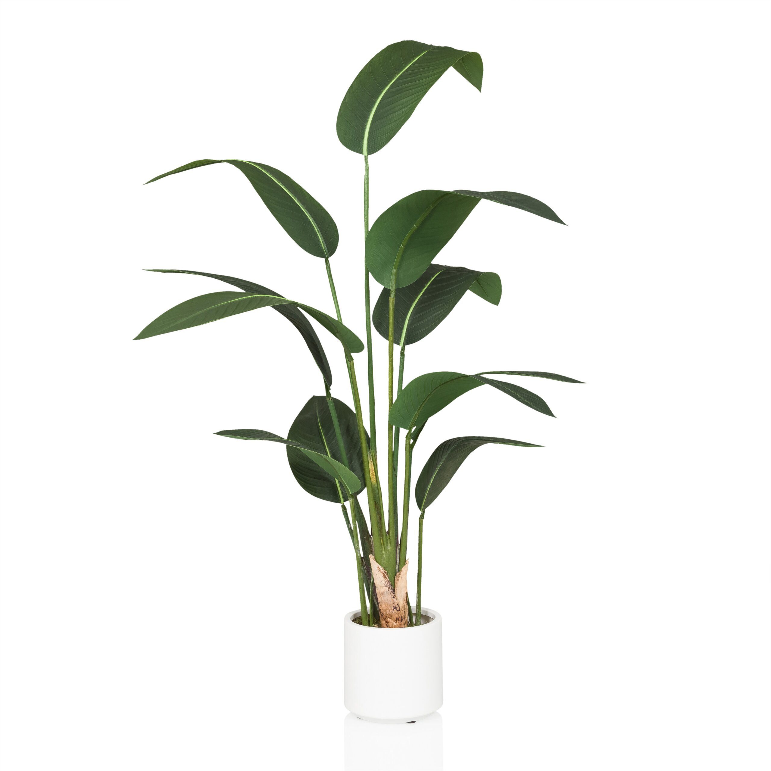 Kunstpflanze STRELITZIA Künstliche Pflanze Höhe 150.0 cm Banane Banane, hjh OFFICE, Höhe 150.0 cm, Künstliche Pflanze Paradiesvogel, Zimmerpflanze im weißen Topf