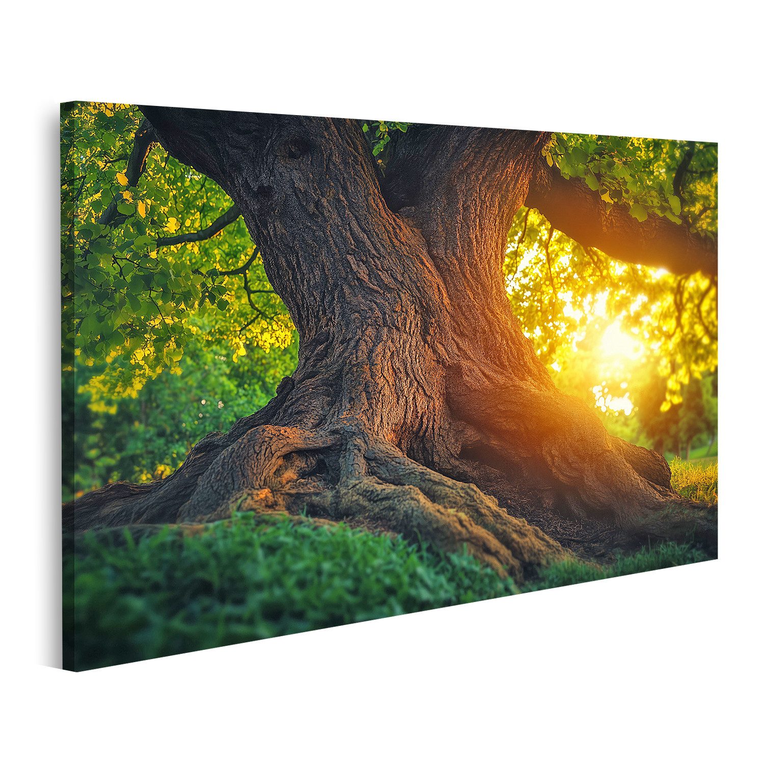 Leinwandbild