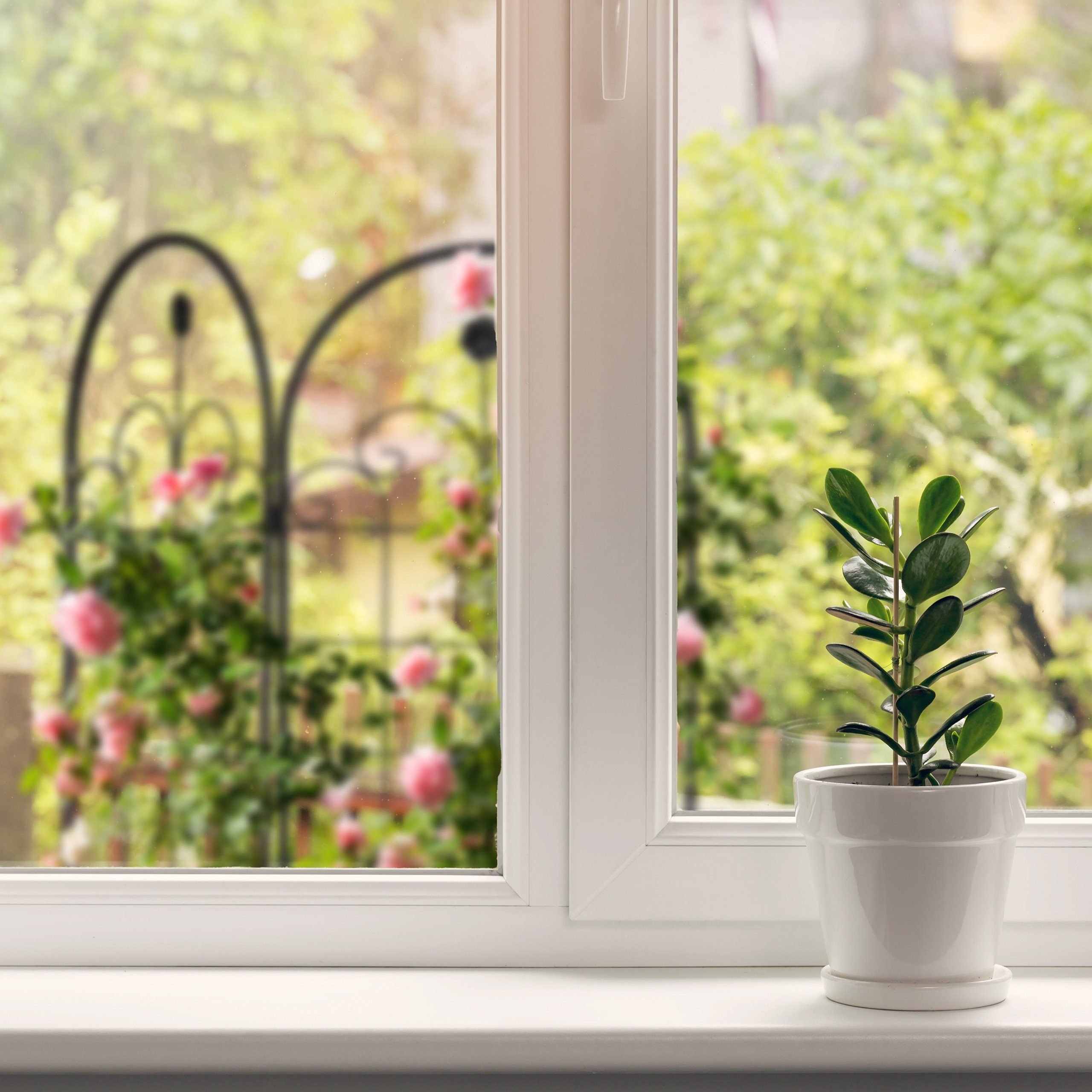 relaxdays Rankgitter 2er Set 180 cm