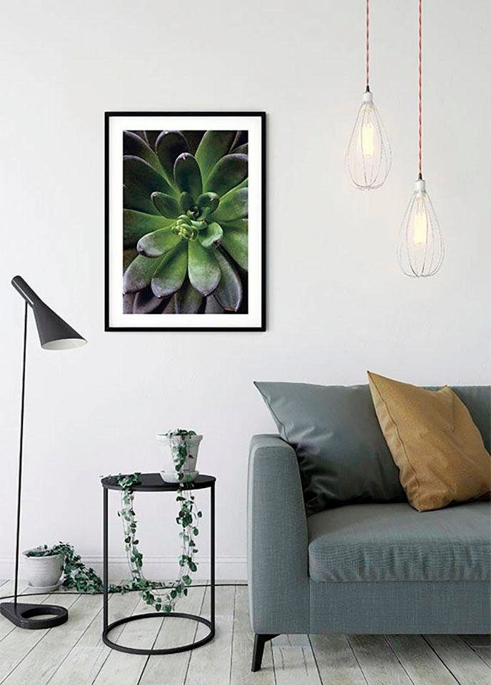 Komar Poster Pflanzen Single, Schlafzimmer, Succulent (1 Blätter, Wohnzimmer Kinderzimmer, St)