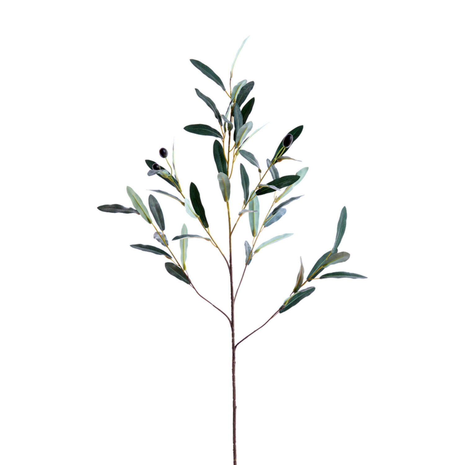 Kunstzweig Light & Living Dekozweig Olive, 92 cm lang, 6506581, Light & Living
