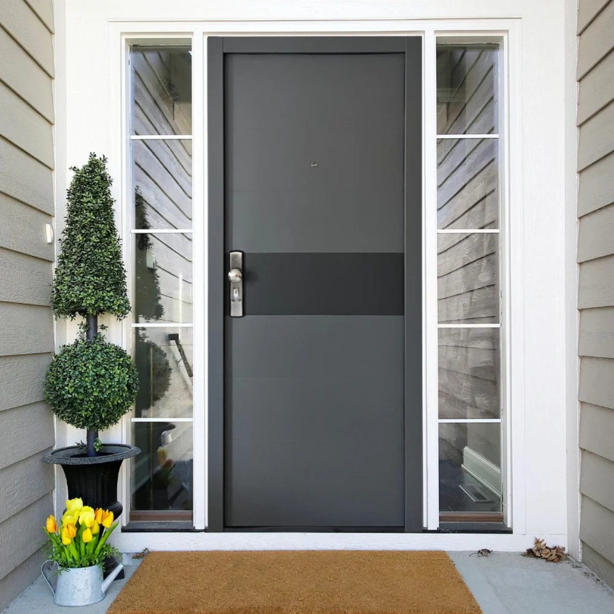 Habee Haustür Sicherheitstür Loreley Balkendesign Anthrazit günstig online kaufen