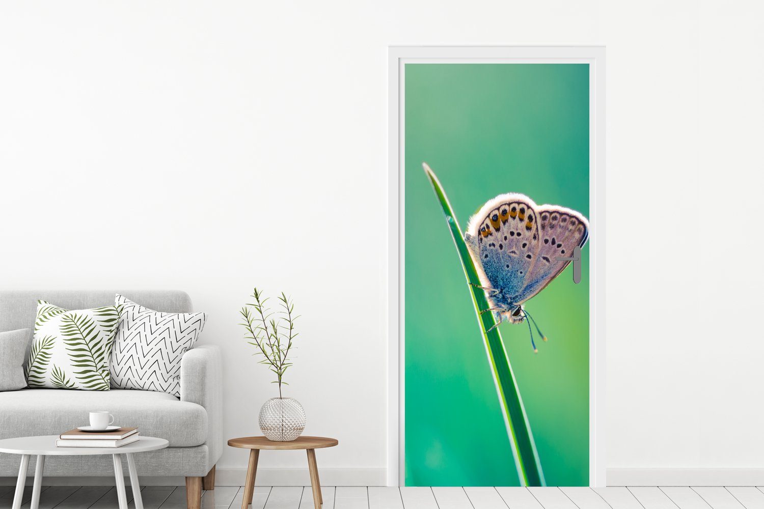 St), MuchoWow - bedruckt, cm Türaufkleber, Gras (1 75x205 Licht, für Schmetterling Fototapete Tür, Matt, - Türtapete