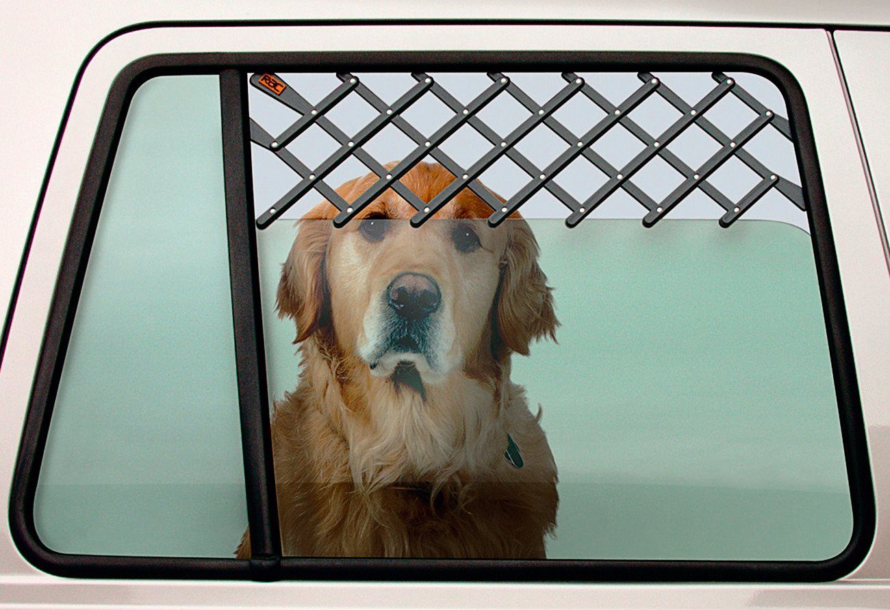 Собака в окне. Пузырьковое окно для собаки.