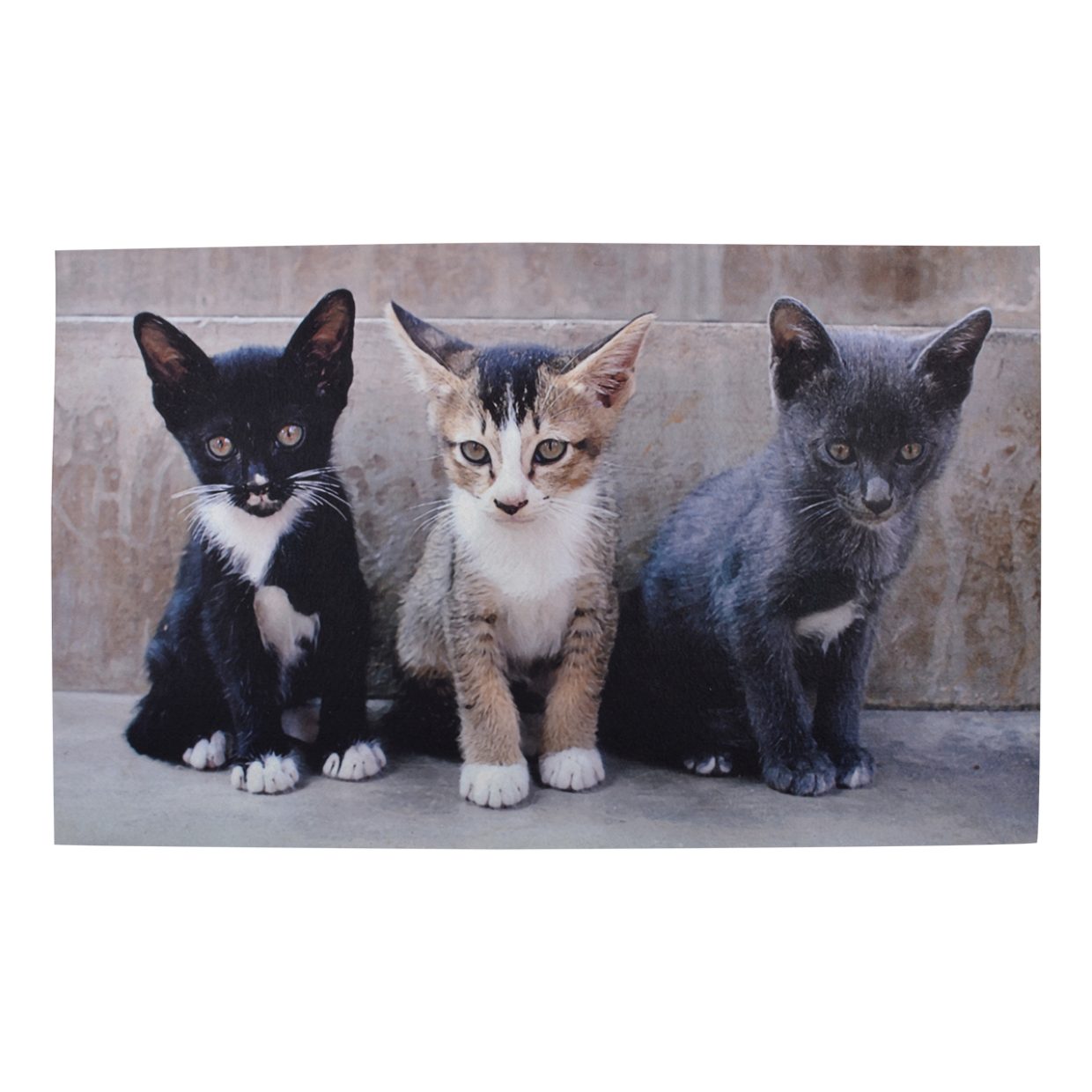 Fußmatte Türmatte Katzen Kinder 76x45 cm Fotodruck Türvorleger, esschert  design