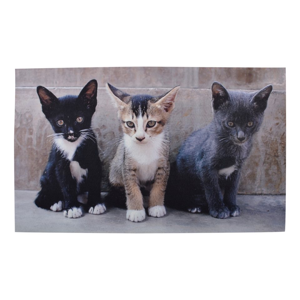 esschert Kinder Türvorleger, Fotodruck Katzen 76x45 Türmatte Fußmatte design cm