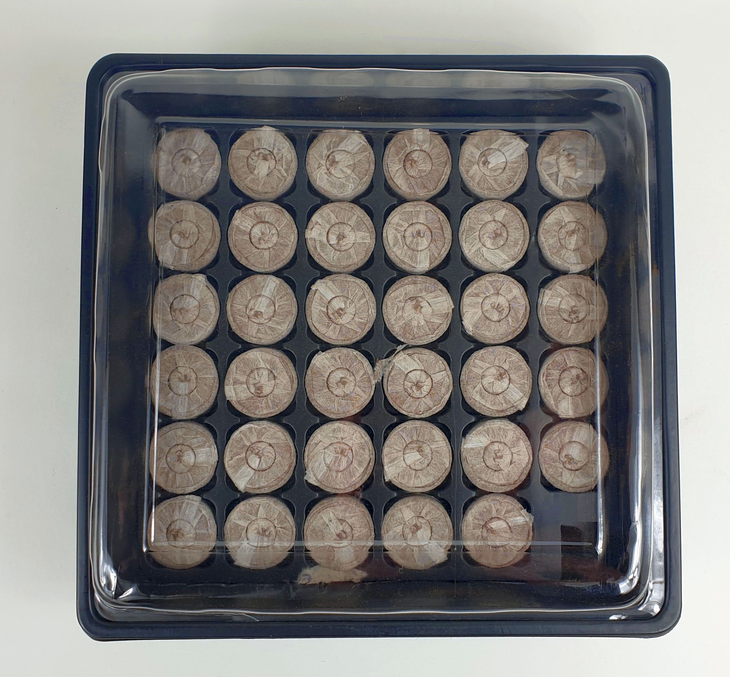 sesua Anzuchttablett Anzuchtset Anzucht Gewächshaus mit 35 Quelltabs Quellt günstig online kaufen