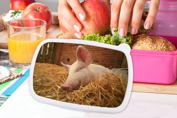 MuchoWow Lunchbox Schwein - Stroh - Tier, Kunststoff, (2-tlg), Brotbox für Erwachsene, Brotdose Kinder, Snackbox, Mädchen, Kunststoff
