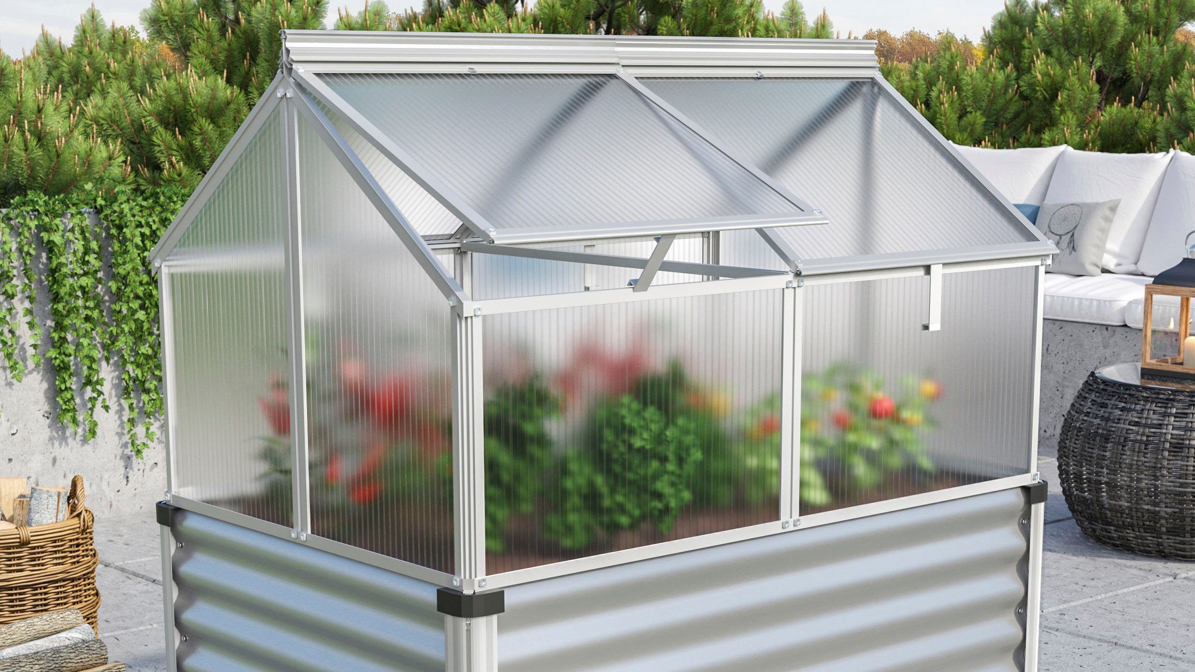 Vitavia Frühbeet Gaia Jumbo, BxTxH: 83x119x72 cm, HKP 4mm