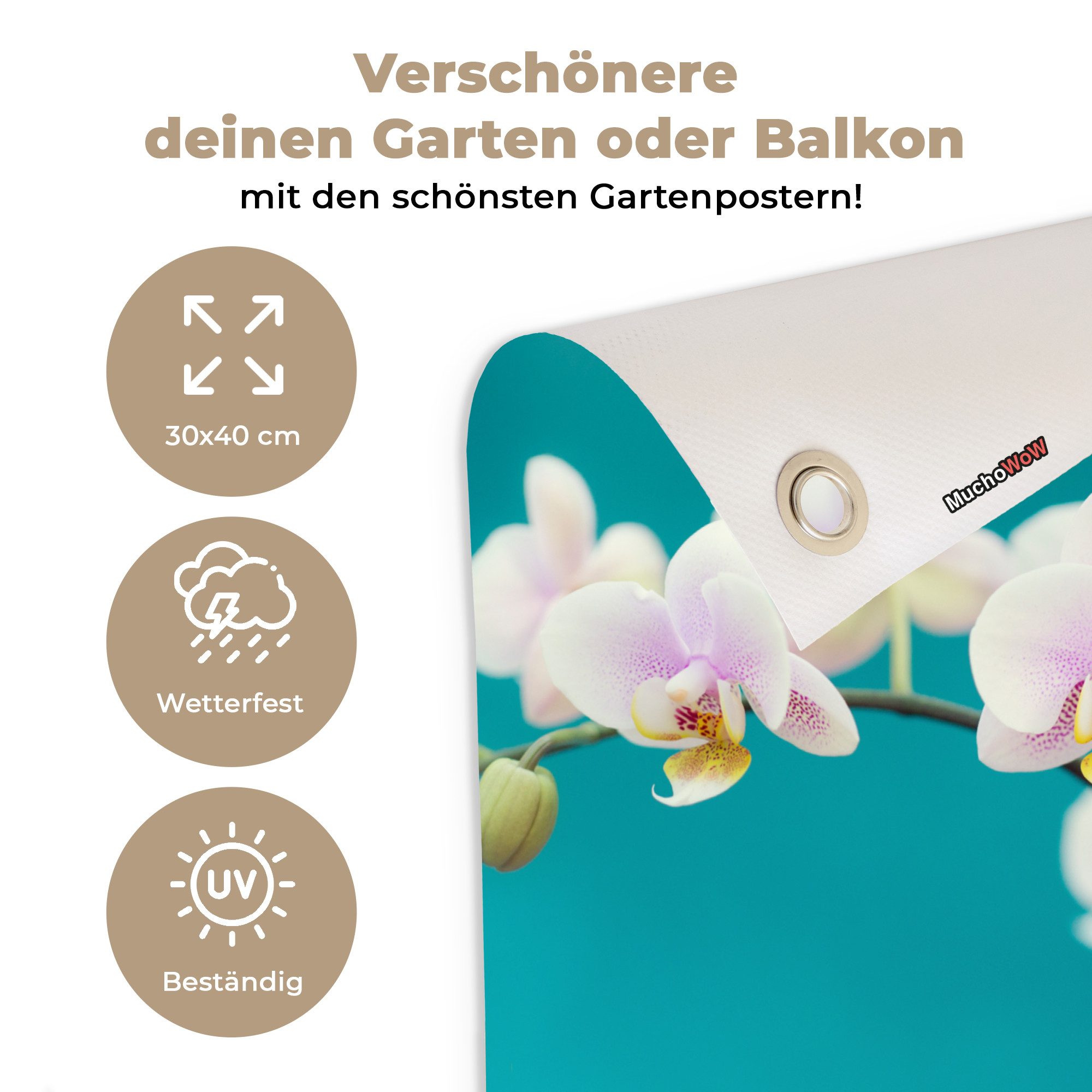 OnlyWow Poster für Garten Orchidee - Blumen - Pflanze - Weiß - Lila, Gartenposter, Outdoor Bilder, Gartendeko für draußen, 30x40 cm