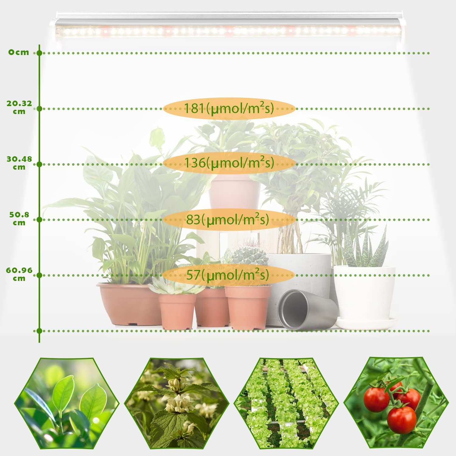 Vollspektrum 10W, Pflanzenlampe Gewächshaus pflanzenlicht Led pflanzen für 2PC/4PC Pflanzenlicht, Hängend MUPOO 5000K, Pflanzenlampe