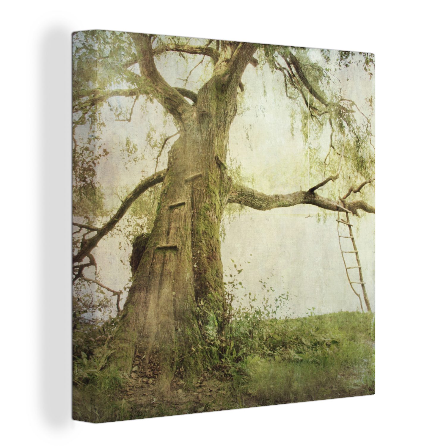 OneMillionCanvasses® Leinwandbild Ein uralter Baum im Wielkopolska-Nationalpark in Polen, (1 St), Leinwand Bilder für Wohnzimmer Schlafzimmer