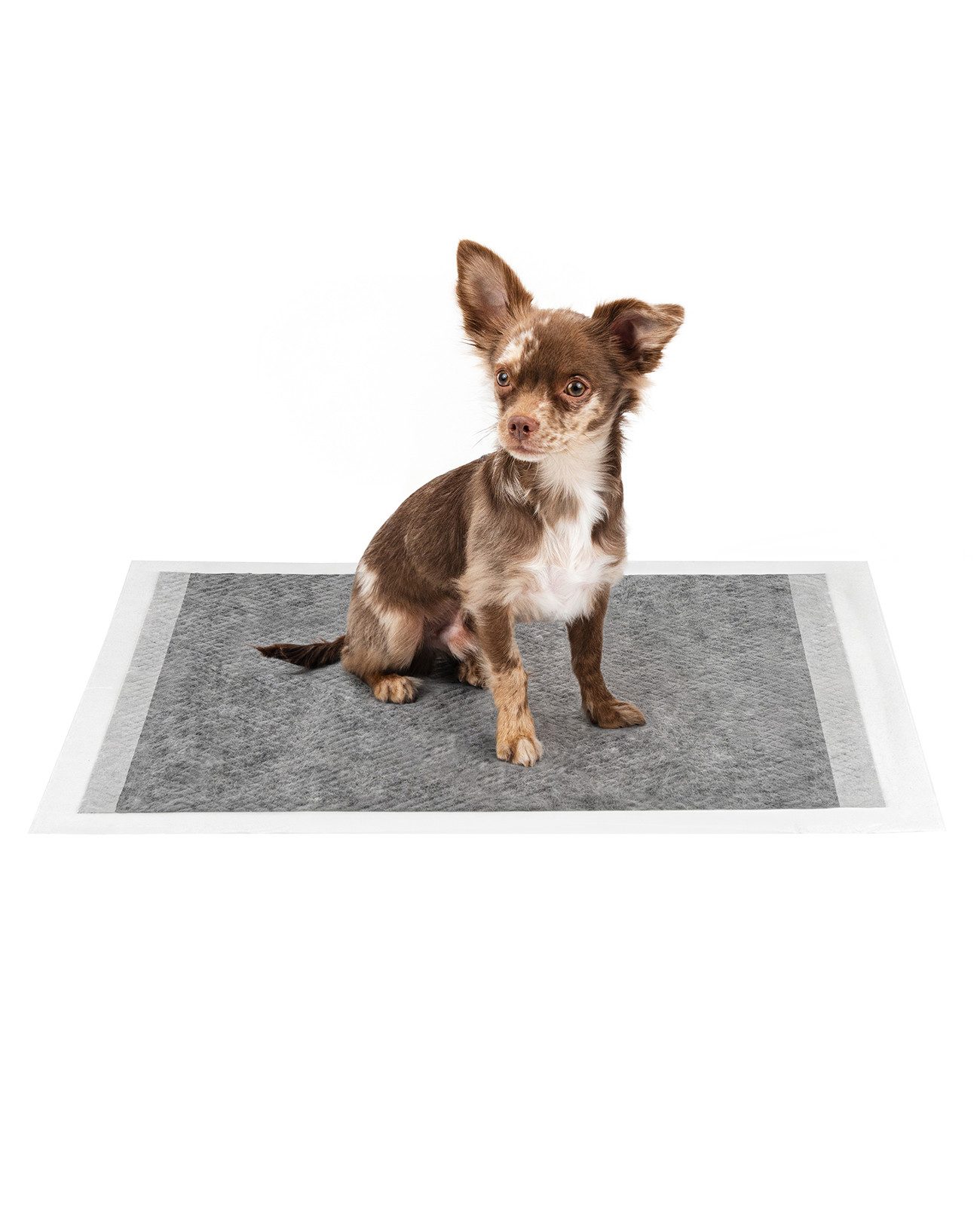 lionto Hundetoilette Welpenunterlagen mit Aktivkohle saugstark, 6-lagig mit Aktivkohle & Auslaufschutz, saugstark & geruchshemmend