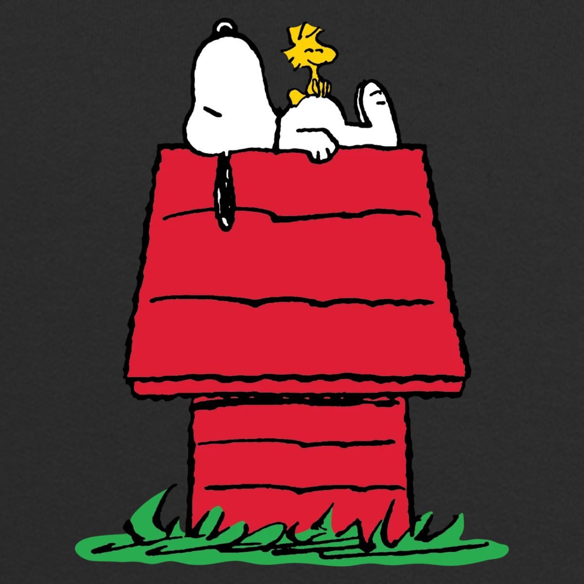Spreadshirt Hoodie Peanuts Snoopy Und Die Hundehütte Kinder Kontrast-Hoodie (1-tlg)