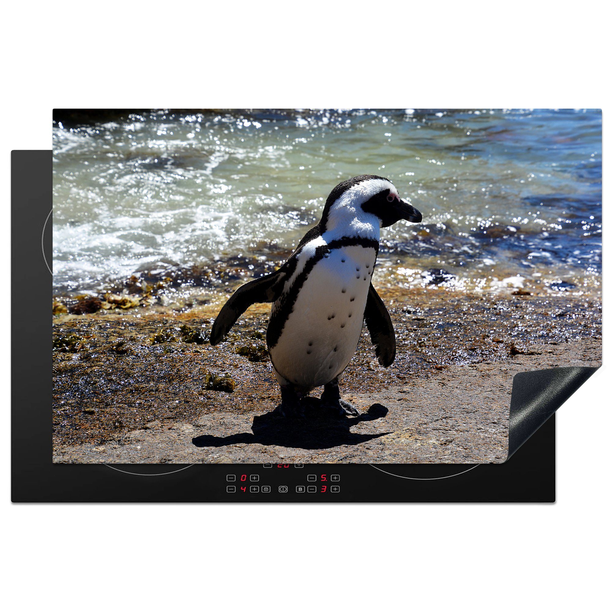 den MuchoWow küche, Strand Humboldt-Pinguin schlängelt 81x52 sich über Herdblende-/Abdeckplatte Ceranfeldabdeckung Peru, in Vinyl, Induktionskochfeld cm, die tlg), (1 Schutz für