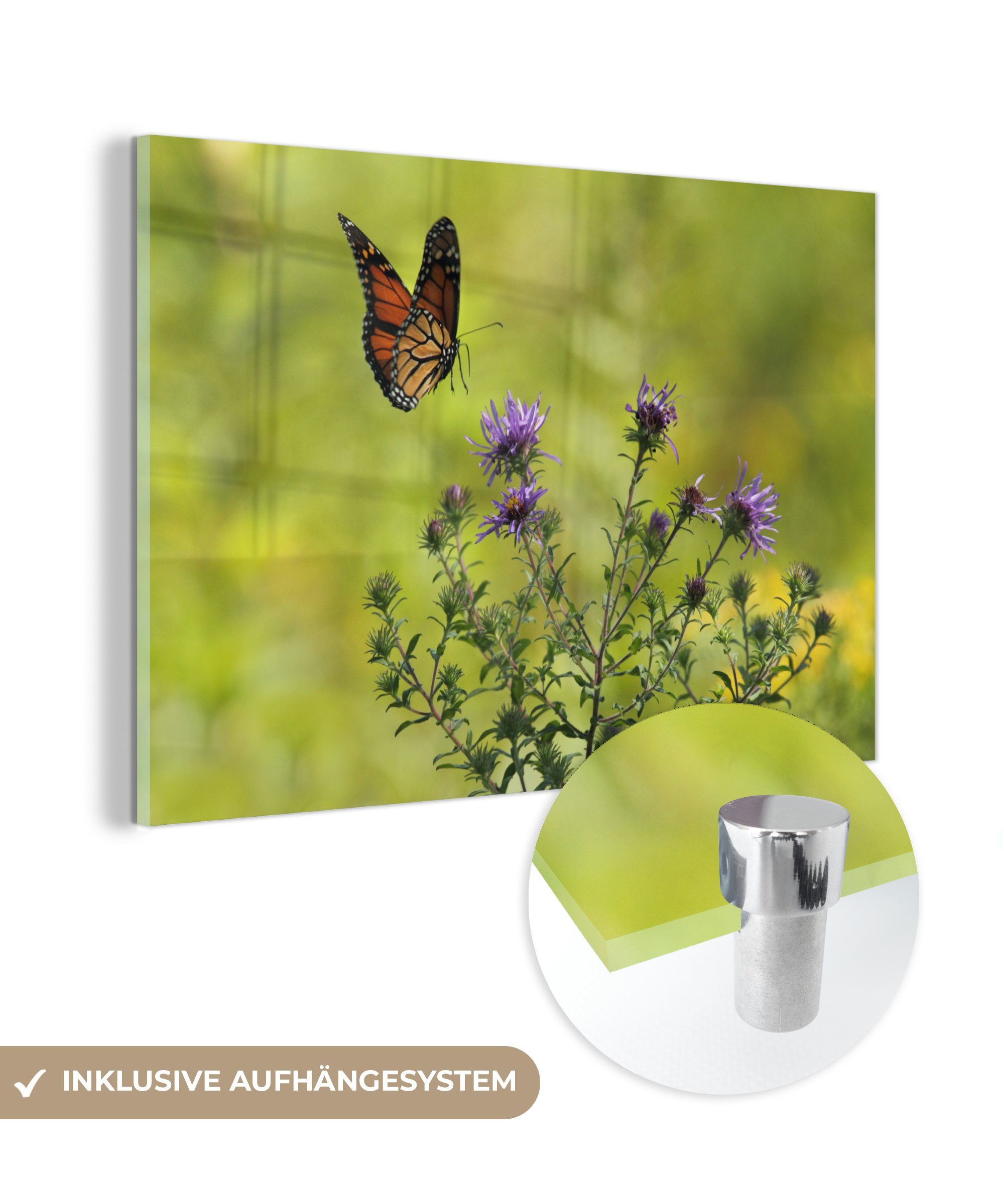 MuchoWow Acrylglasbild Blumen - Schmetterling - Strauch, (1 St), Acrylglasbilder Wohnzimmer & Schlafzimmer