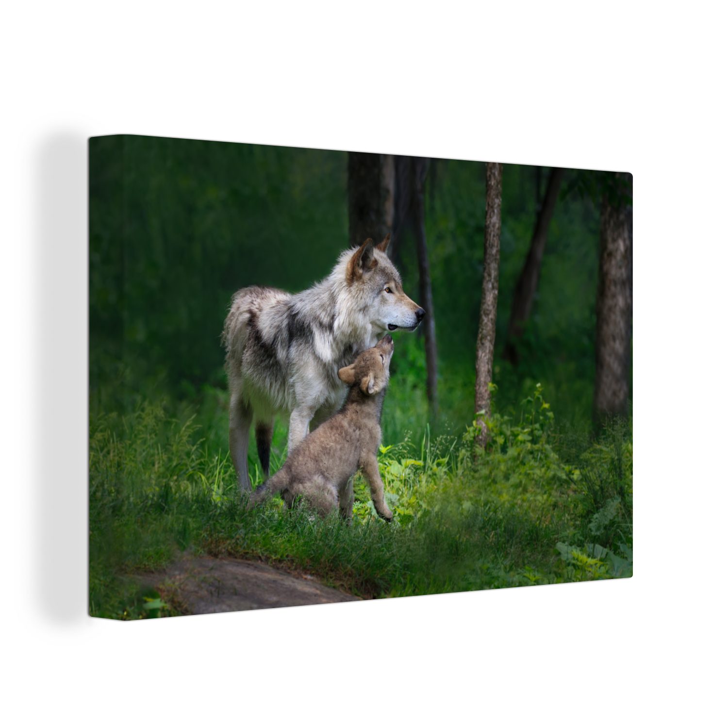 OneMillionCanvasses® Leinwandbild Graue Wölfin mit ihrem Welpen, (1 St), Wandbild Leinwandbilder, Aufhängefertig, Wanddeko, 30x20 cm