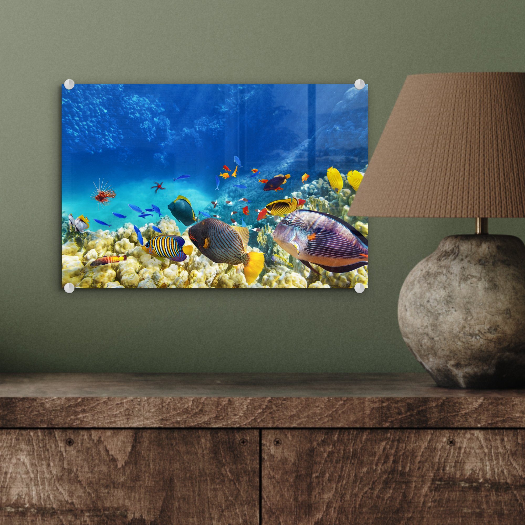 Korallen Acrylglasbild Wandbild - Fische auf St), Bilder Wanddekoration Glasbilder - - Glas MuchoWow Foto auf - - Meer Glas - (1 Unterwasserwelt,