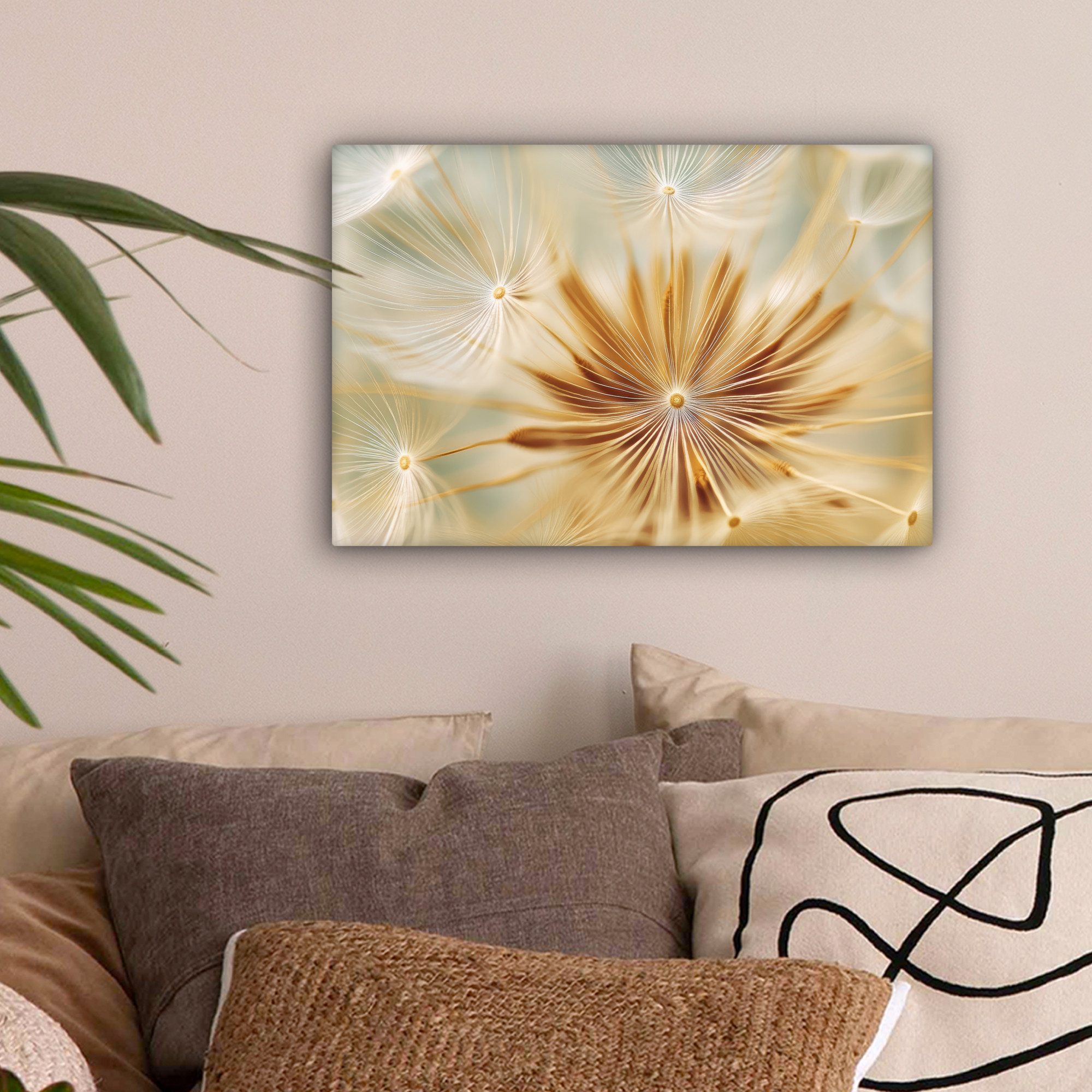 OneMillionCanvasses® Leinwandbild Löwenzahn - Beige - Abstrakt - Modern - N günstig online kaufen