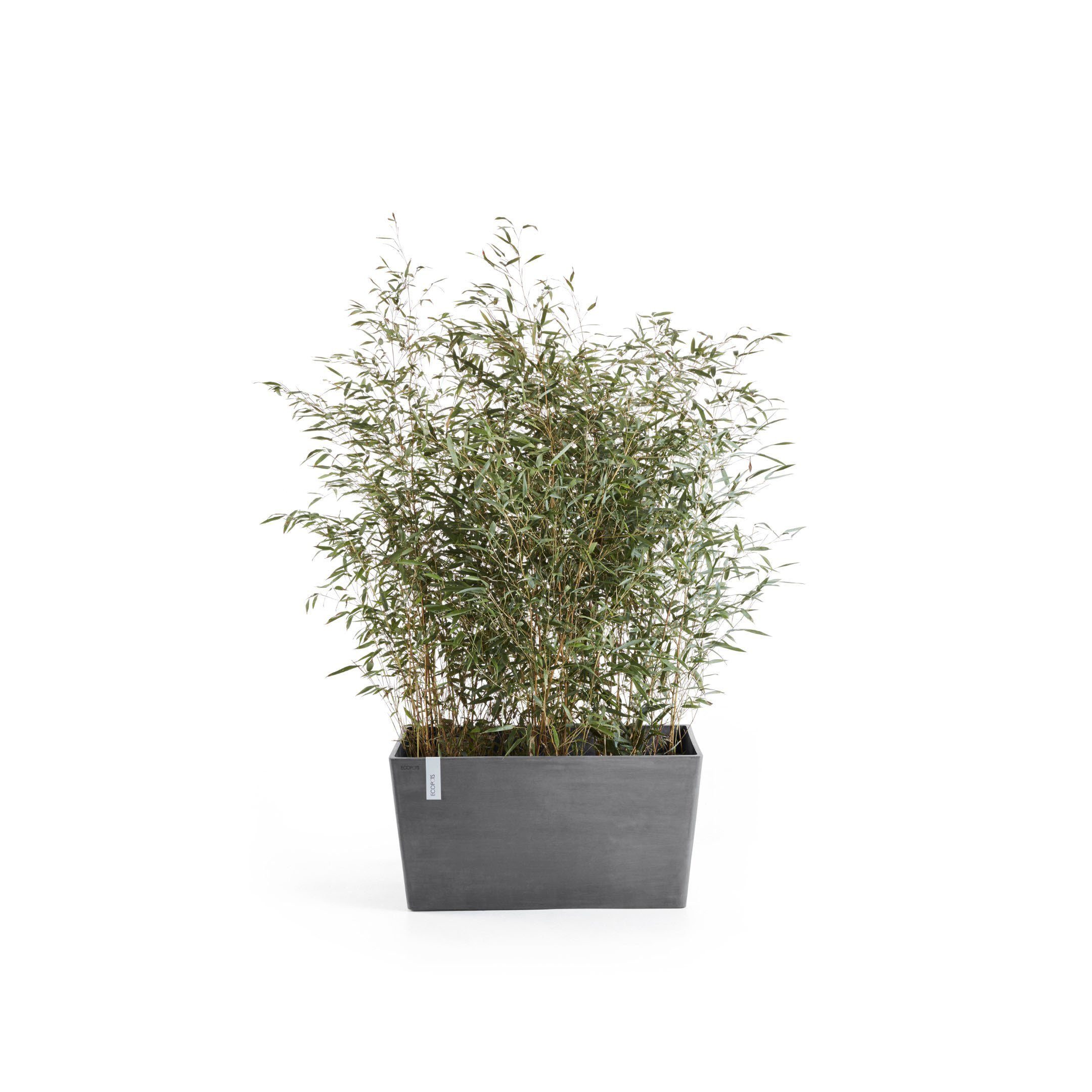 Blumentopf ECOPOTS cm Paris, BxTxH: 99x46x50