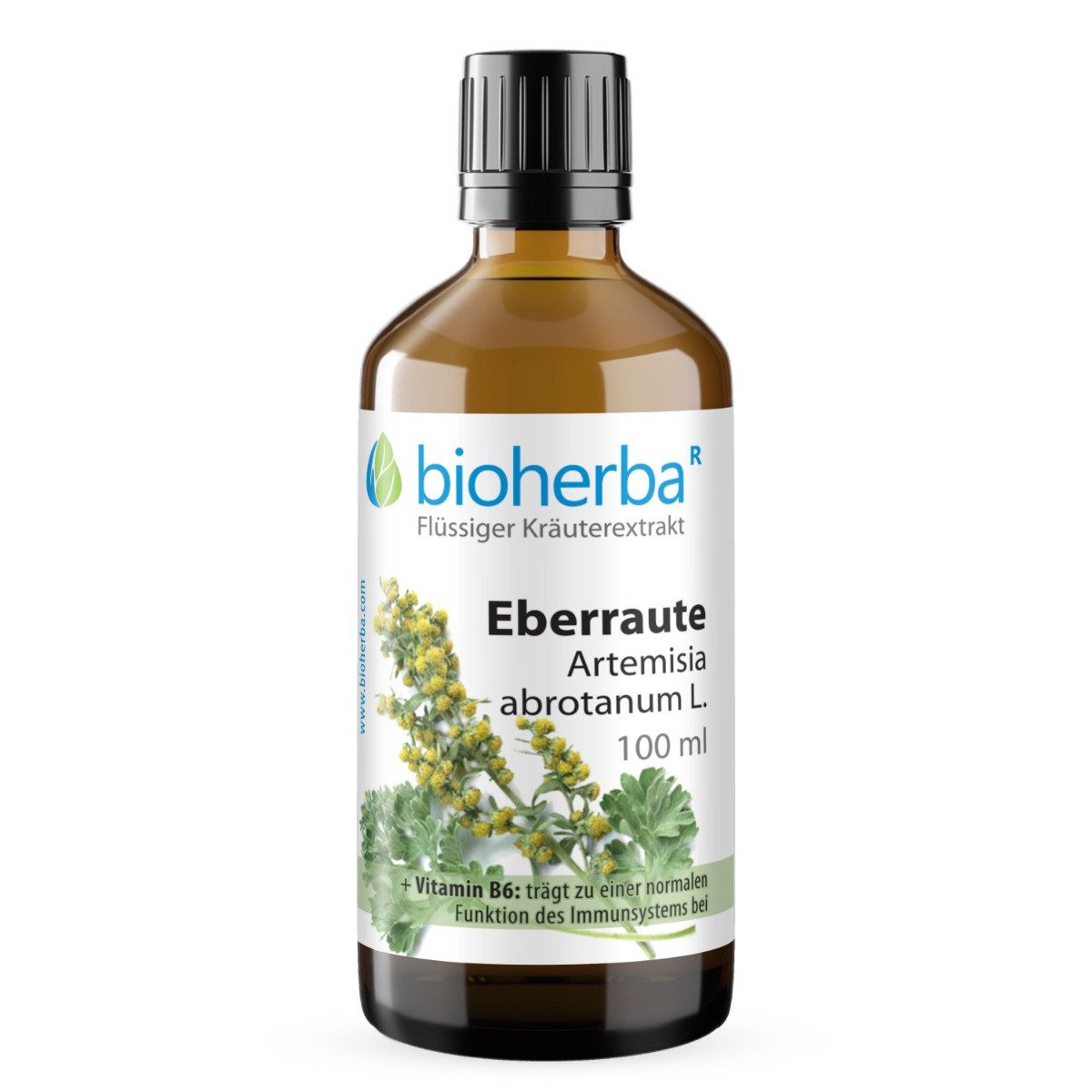 BIOHERBA R Bioherba Eberraute Artemisia abrotanum L. Tropfen Tinktur 100 ml Nahrungsergänzungsmittel, 1 er