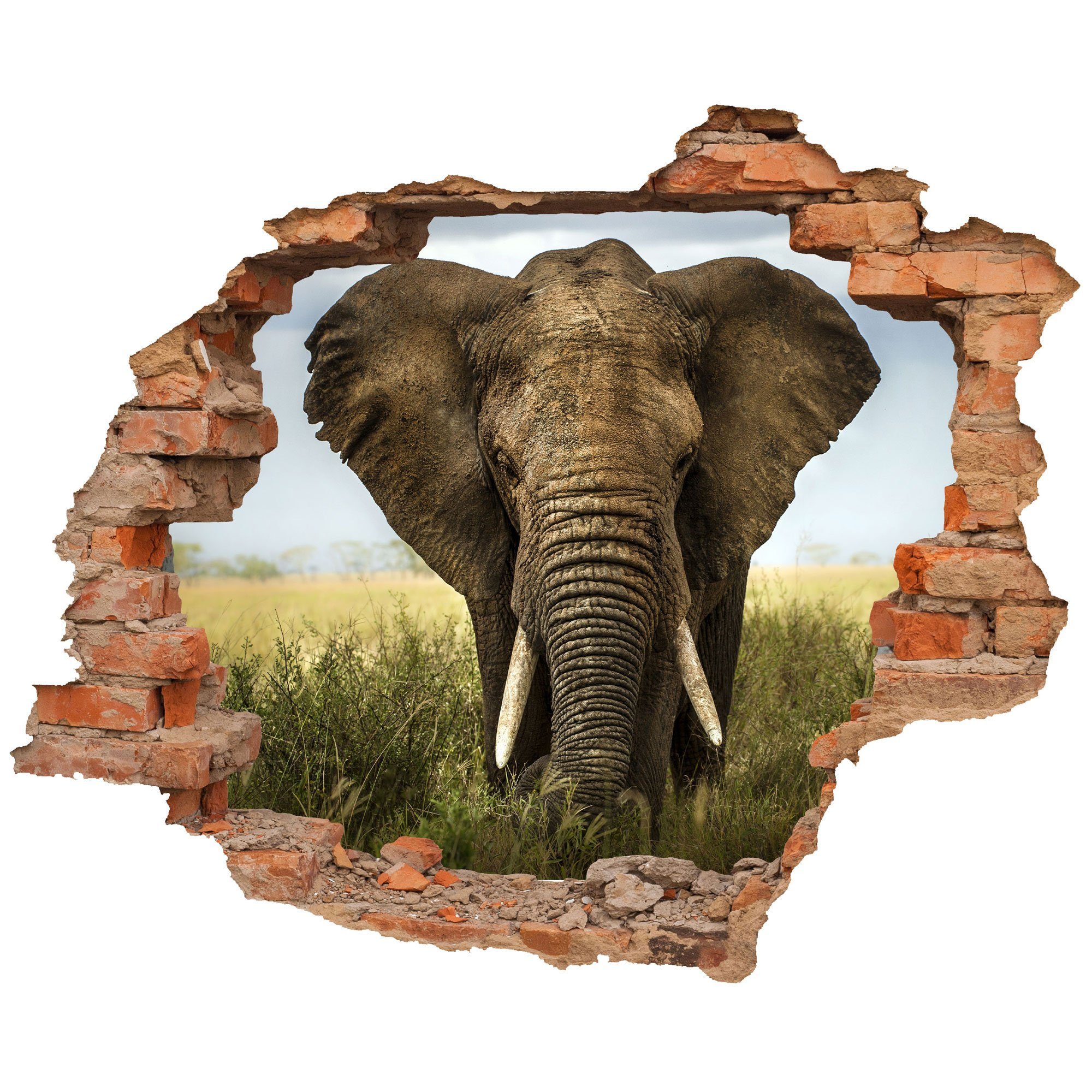 WallSpirit Wandtattoo Wanddurchbruch "Elefant", Selbstklebend, rückstandslos abziehbar