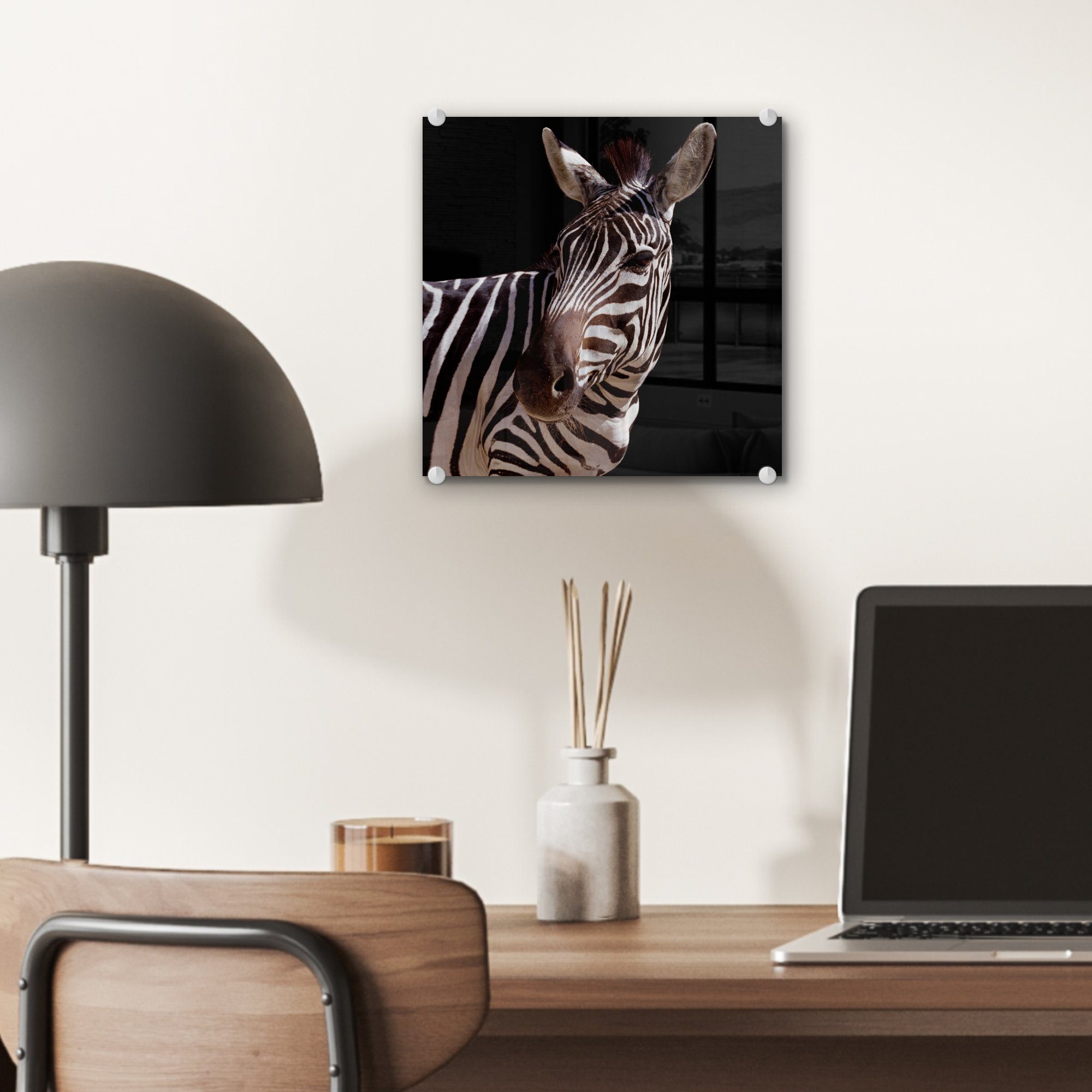 Bilder auf Foto Wandbild Hintergrund, Acrylglasbild auf Neugieriges schwarzem - Zebra - (1 MuchoWow - Glas auf Wanddekoration Glas Glasbilder St),