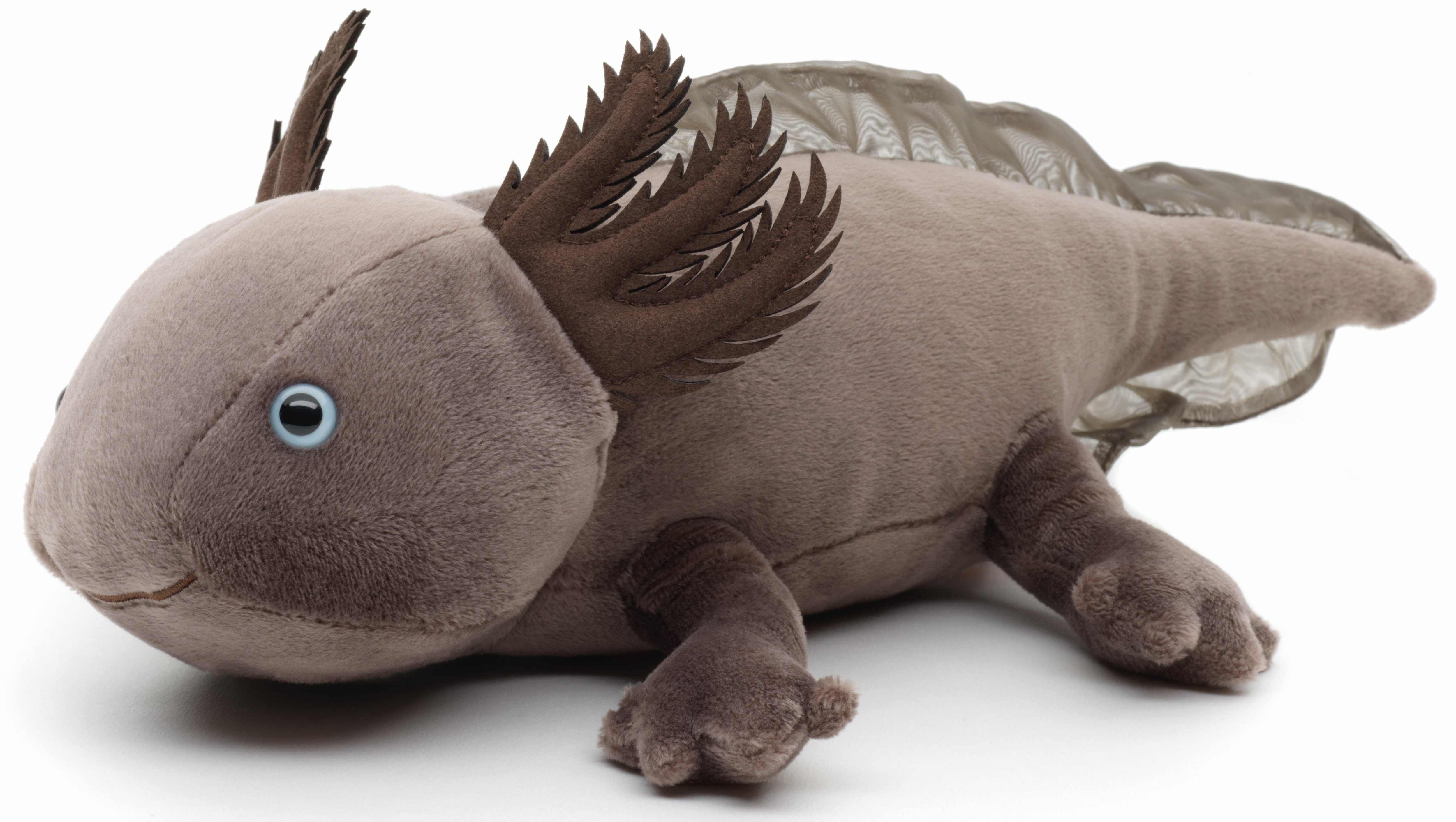 Kuscheltier Axolotl - verschiedene Farben - 32 cm (Länge) - Plüsch, Plüschtier