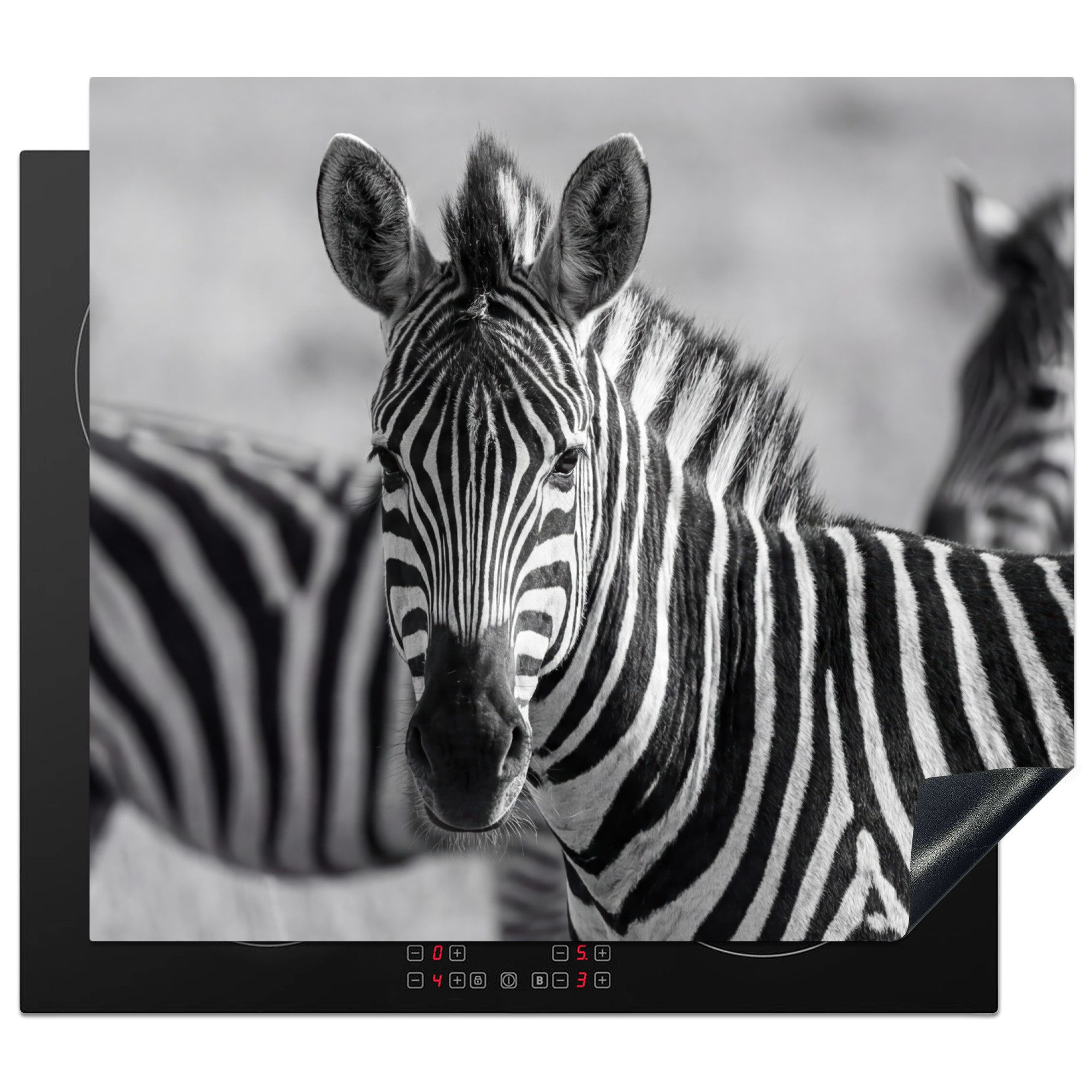 MuchoWow Herd-Abdeckplatte Zebras - Schwarz - Weiß, Vinyl, (1 tlg), Ceranfeldabdeckung Küche, Herdabdeckplatte Einteilig, 60x52 cm