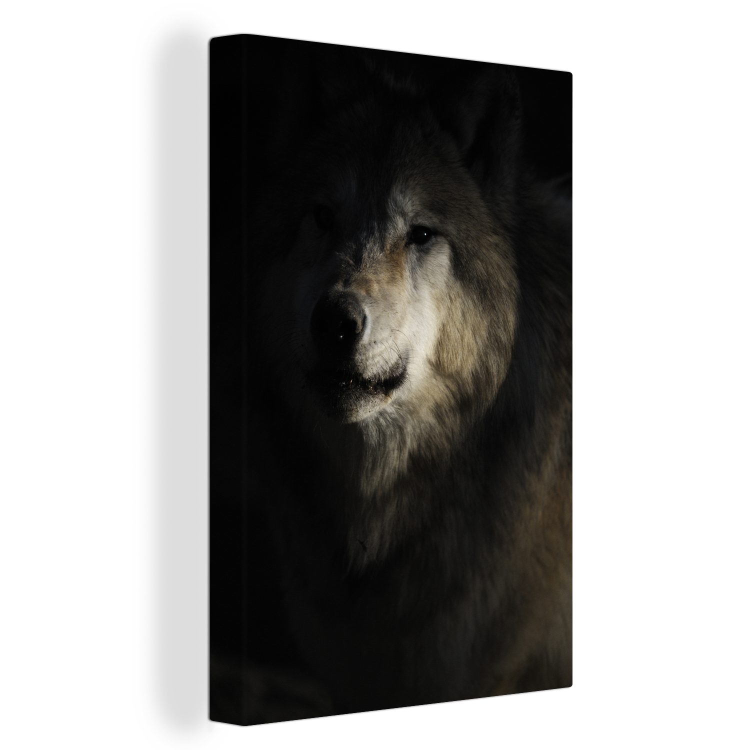 OneMillionCanvasses® Leinwandbild Wolf - Hell - Dunkel, (1 St), Leinwandbild fertig bespannt inkl. Zackenaufhänger, Gemälde, 20x30 cm