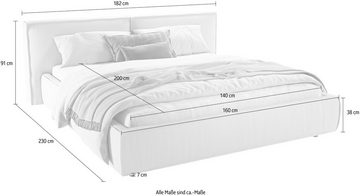 INOSIGN Polsterbett Adrina mit Biesenoptik, Feincord und Luxus-Microfaser, bis 280kg, auch in Überlänge 220 cm, 4 Breiten bis 200cm