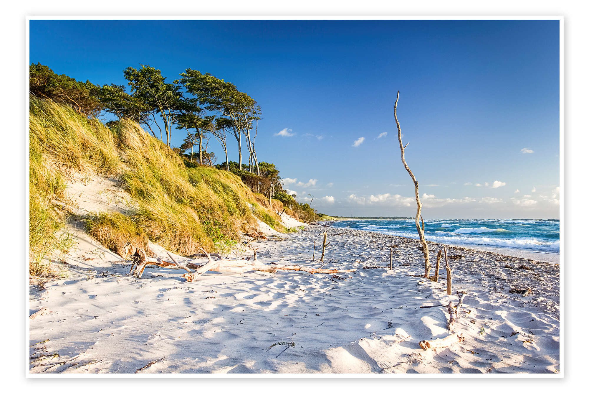 Posterlounge Wandbild Sommerabend am Darßer Weststrand, Sascha Kilmer, erhältlich als Poster, Leinwandbild, Wandsticker oder Acrylglasbild