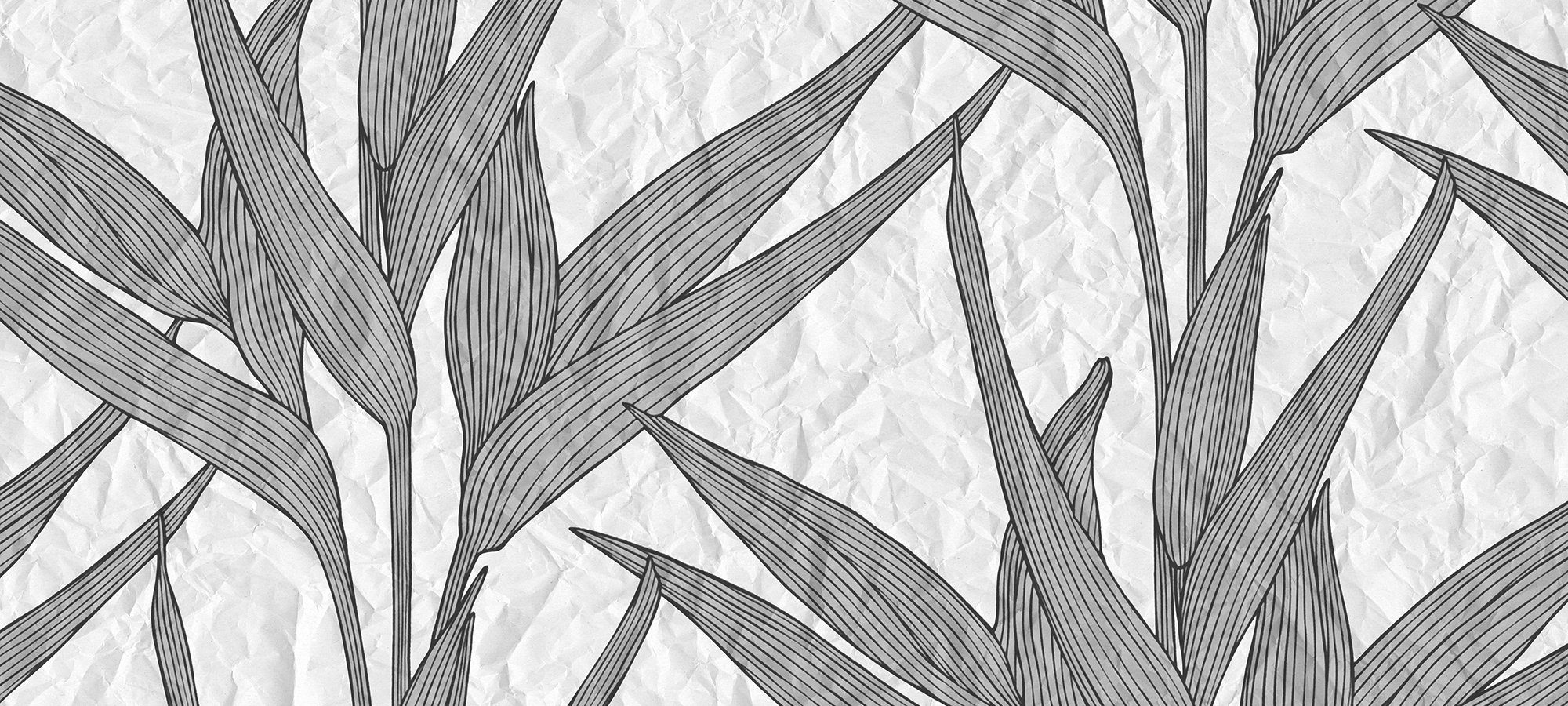 1, weiß/hellgrau/schwarz Vlies, Schräge, glatt, floral, Paper Wand, White Paper 47 Architects St), Leaves Atelier Fototapete Decke (6