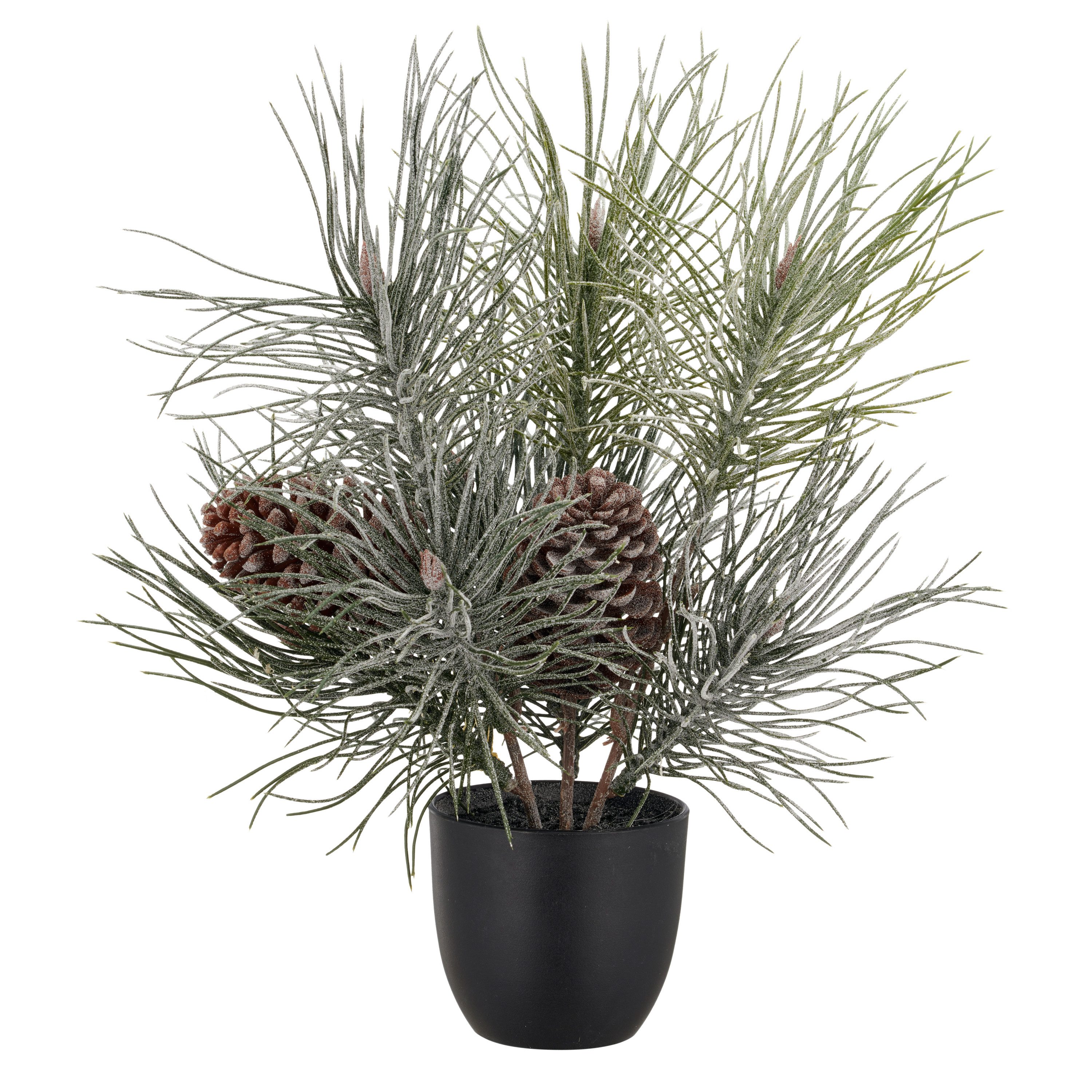 Winterliche Kunstpflanze Kiefernbäumchen, Creativ green, Höhe 38 cm, mit Frost-Optik