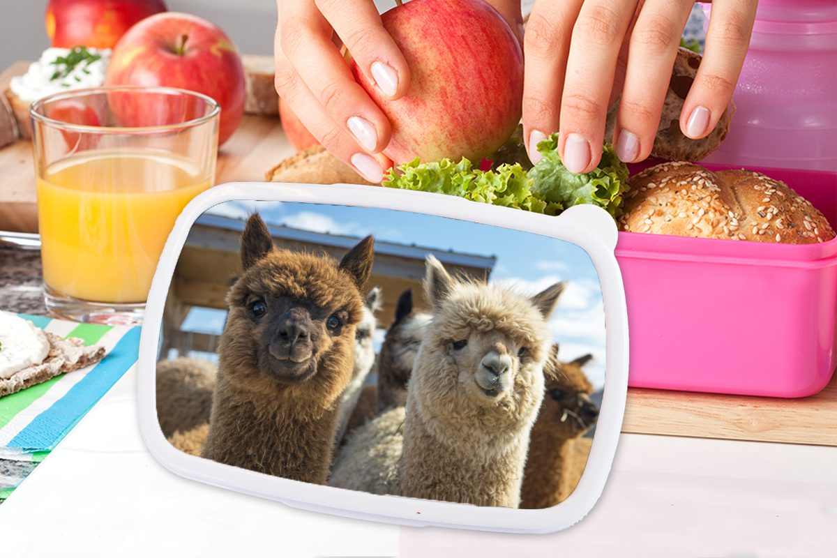 rosa - Braun für Snackbox, Kinder, Mädchen, Lunchbox (2-tlg), Erwachsene, MuchoWow Brotbox Kunststoff, Kunststoff Alpaka - Weiß, Fröhlich Brotdose -