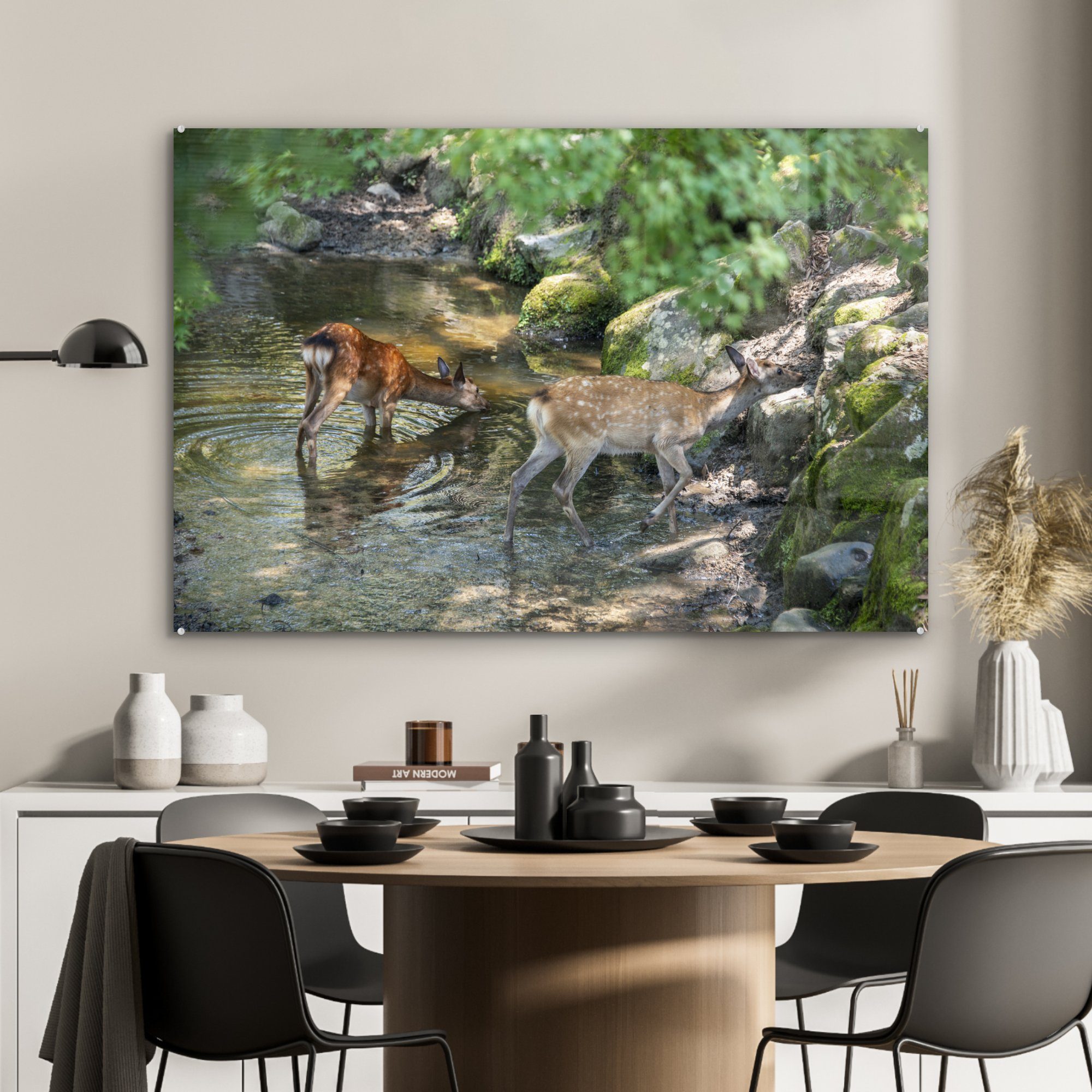 & - St), (1 MuchoWow Hirsche Schlafzimmer Wohnzimmer Moos - Acrylglasbild Steine Acrylglasbilder - Wasser,