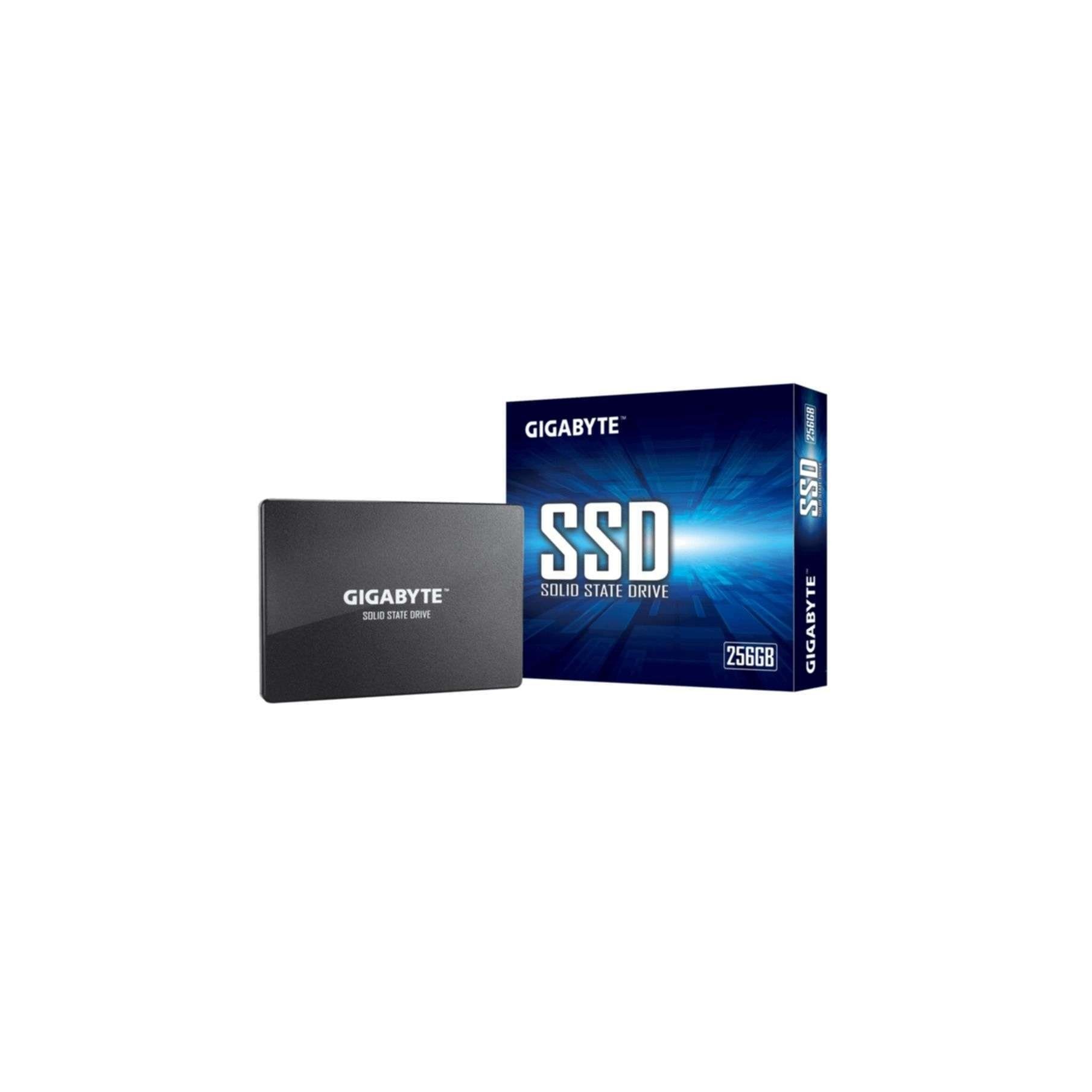 Gigabyte GP-GSTFS31256GTND interne SSD